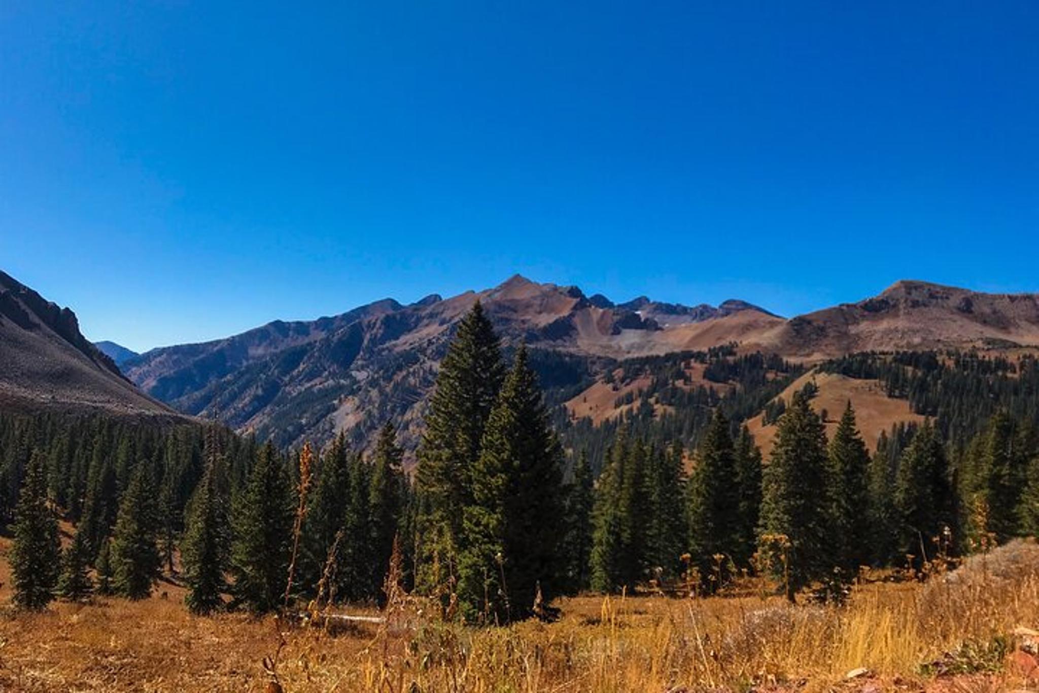 Durango Jeep Tour in La Plata Canyon 4 hr - Image 5