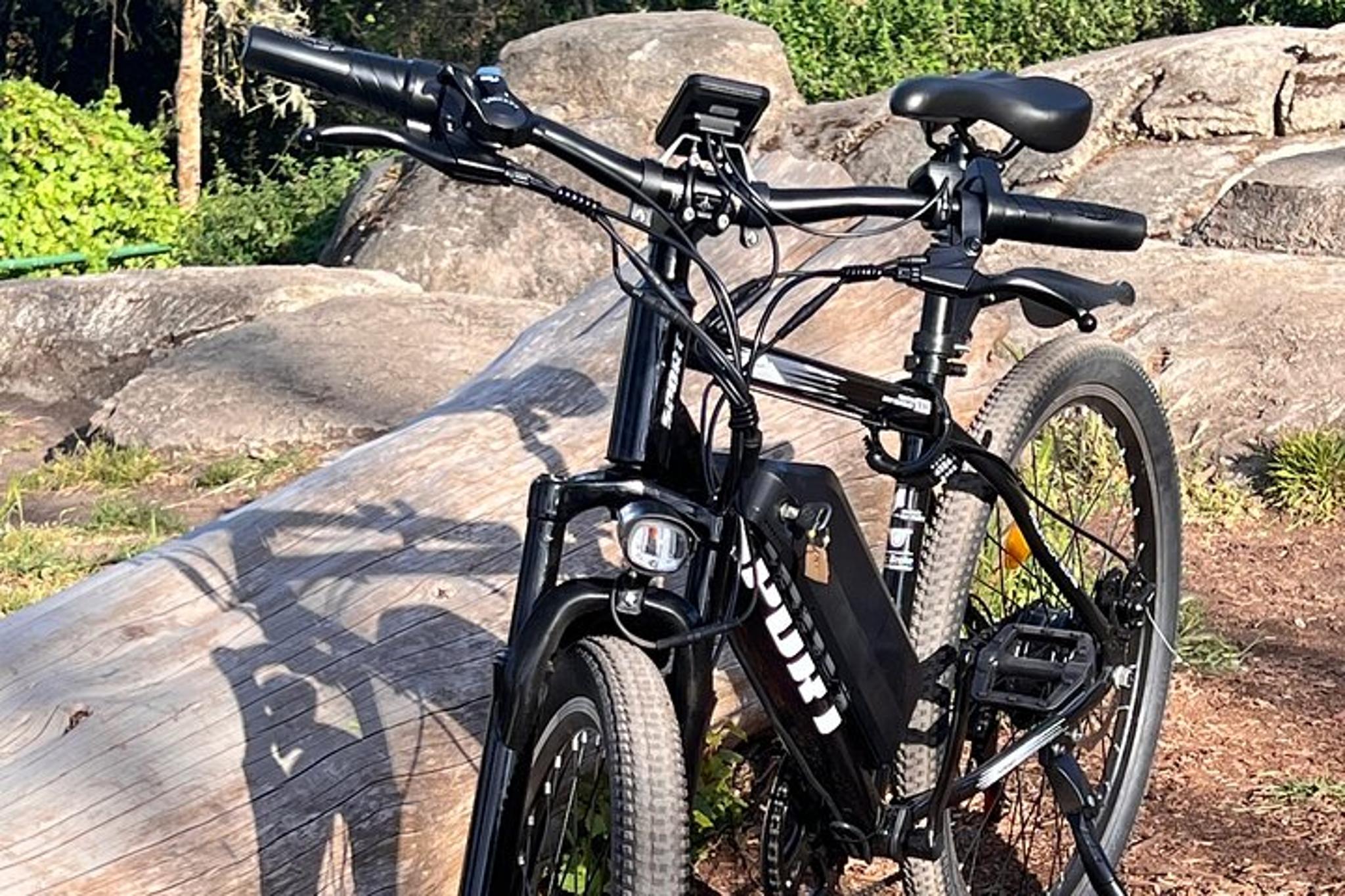 San Francisco E-Bike Rental Full Day - Image 3