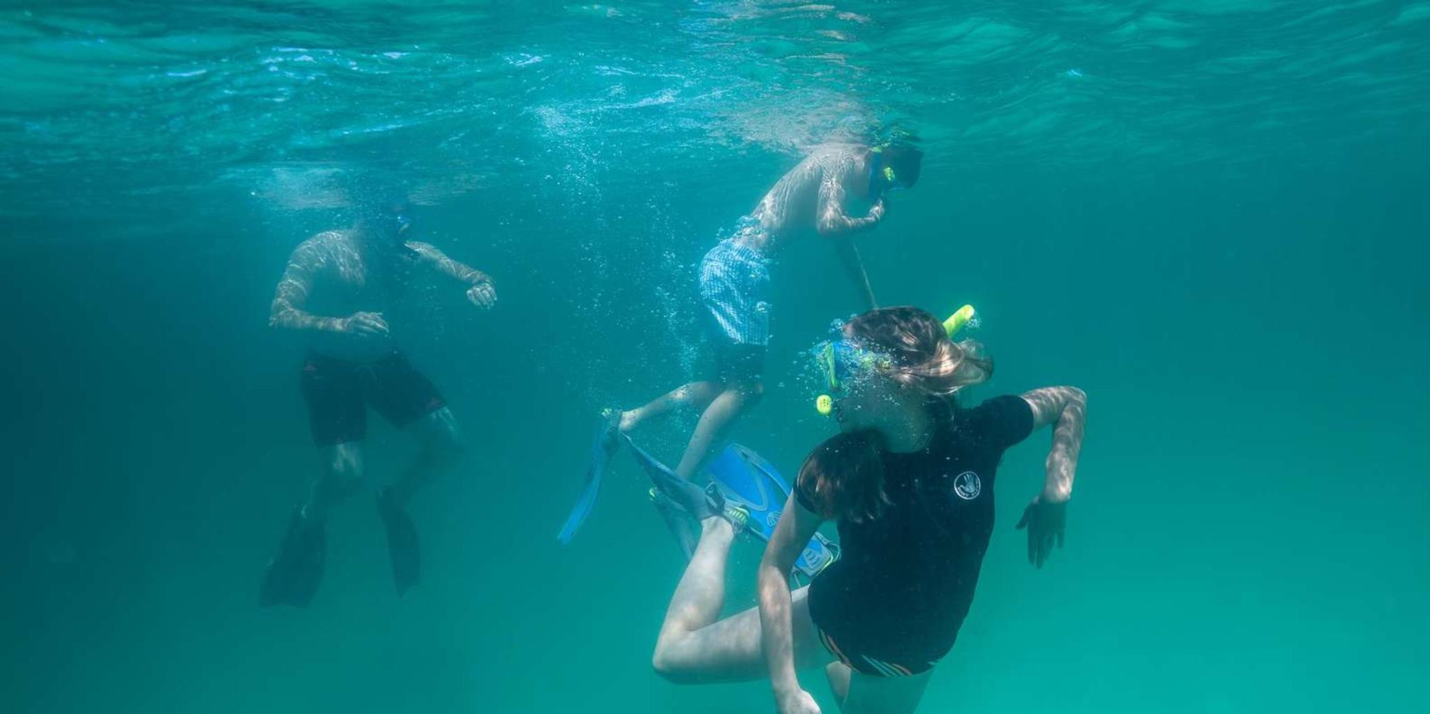 Destin Reef Snorkeling Adventure - Image 3