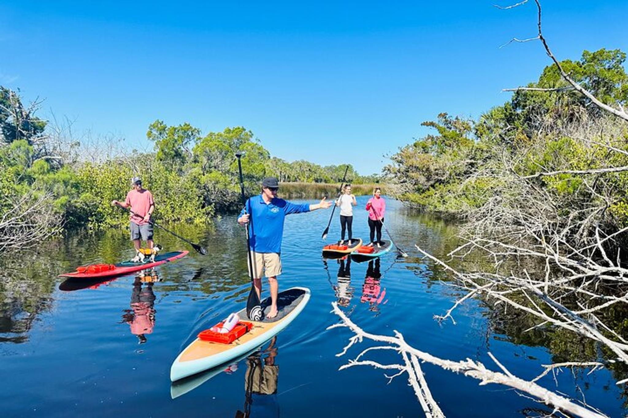 Ormond Beach Manatee and Nature Tour - Image 2