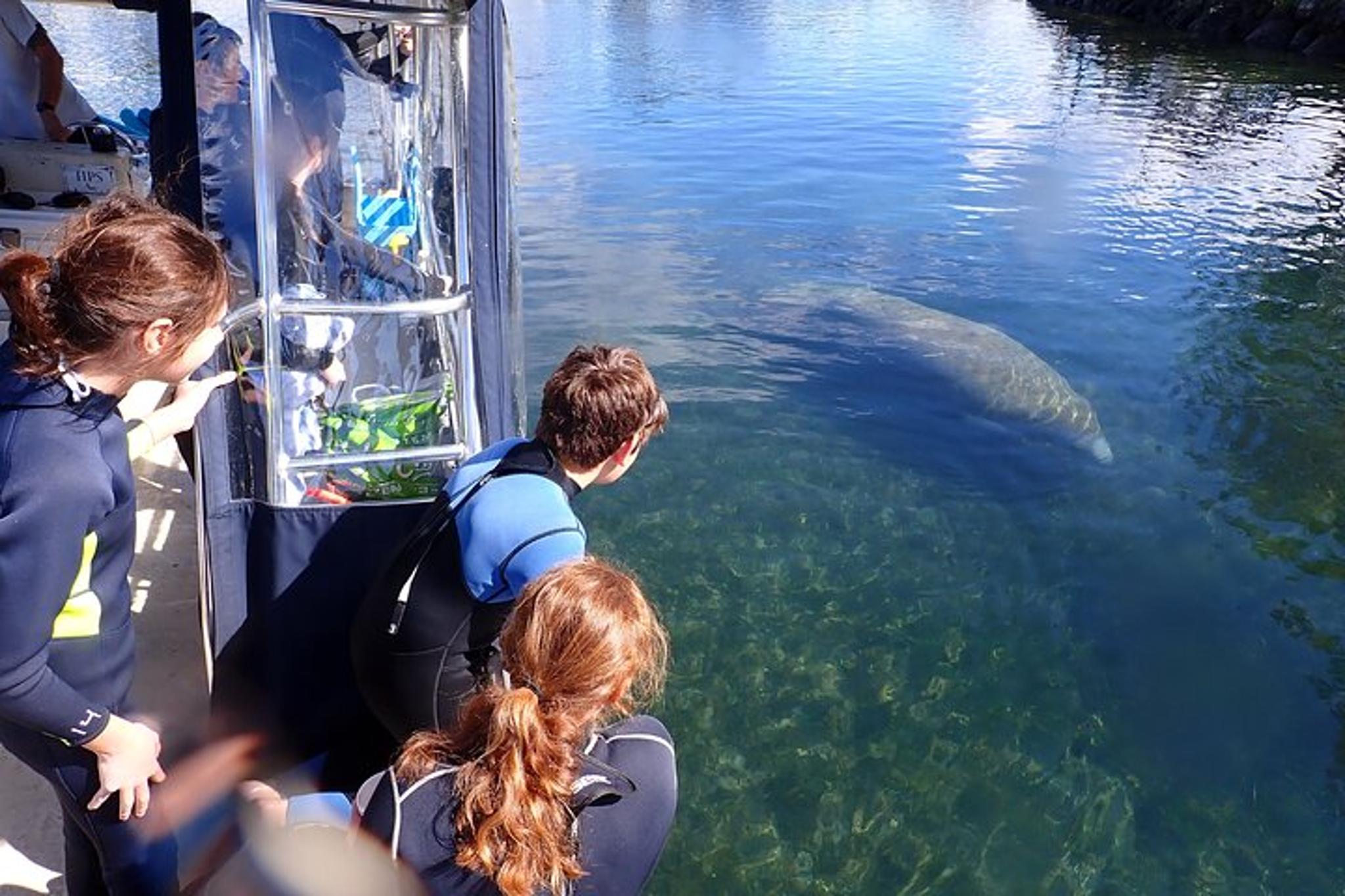 Crystal River Manatee Swim Tour with In-Water Guide 3 hr - Image 3