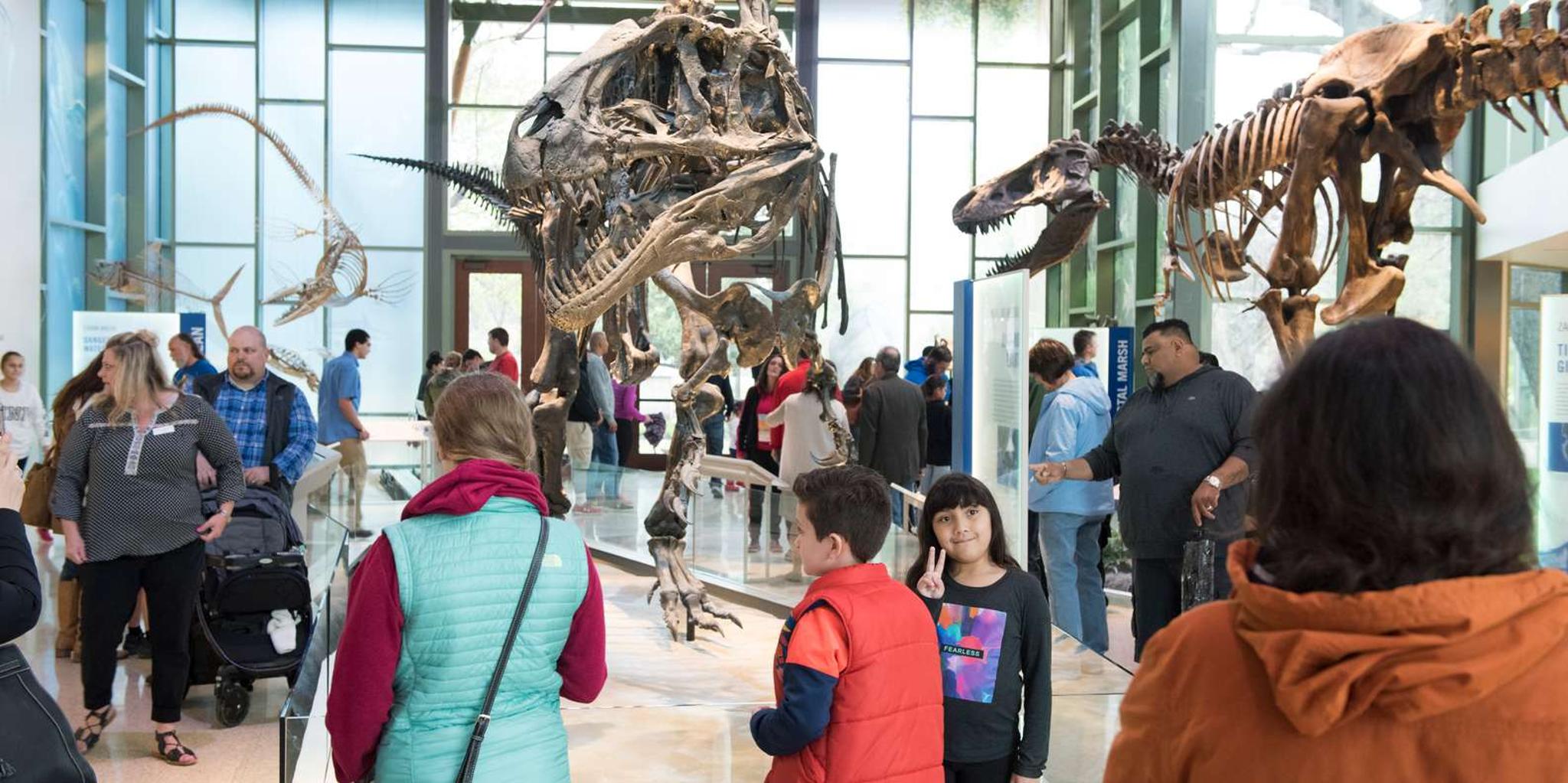 San Antonio Witte Museum Admission - Image 4