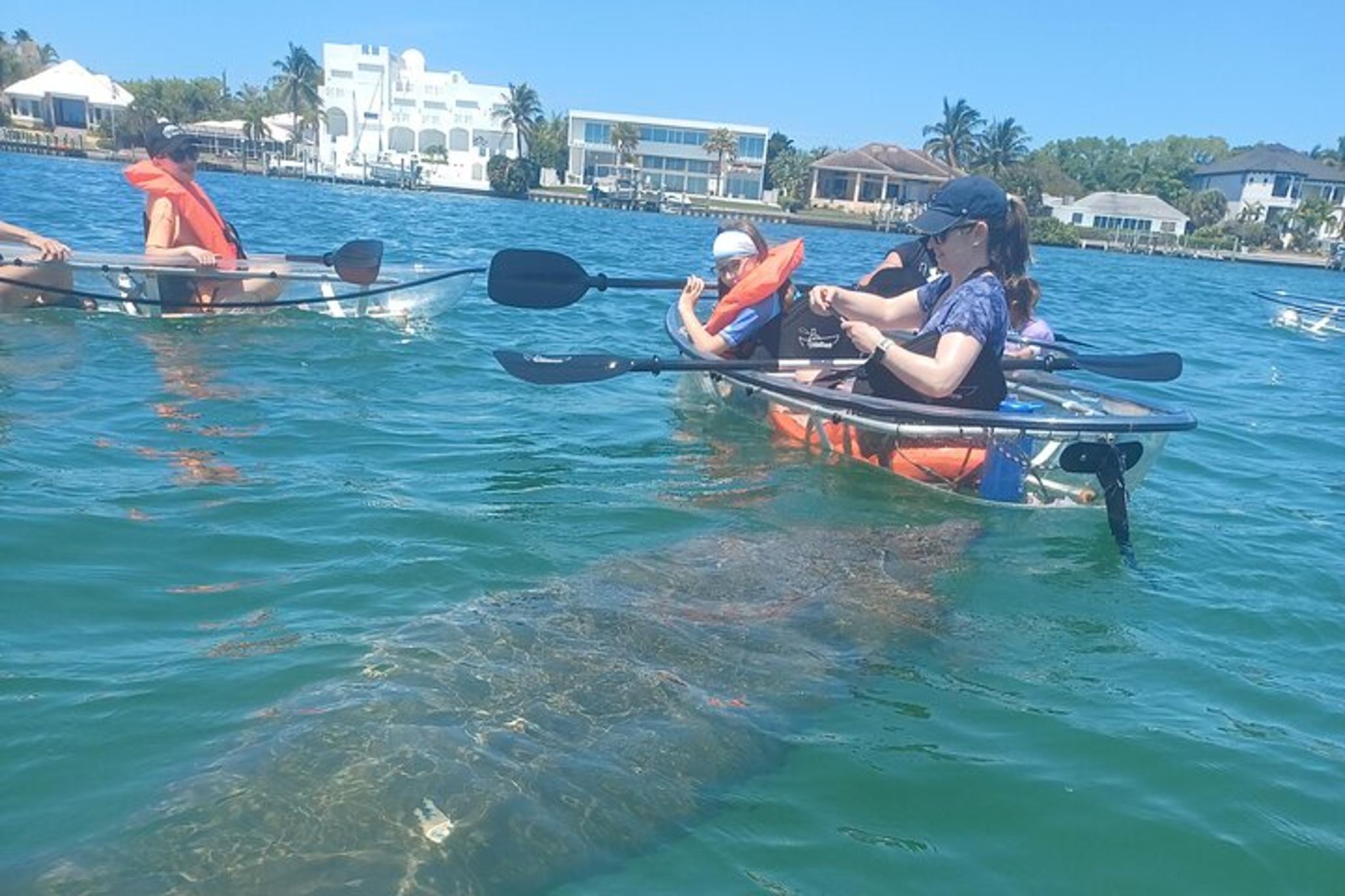 Sarasota Glass Bottom Kayak Tour
