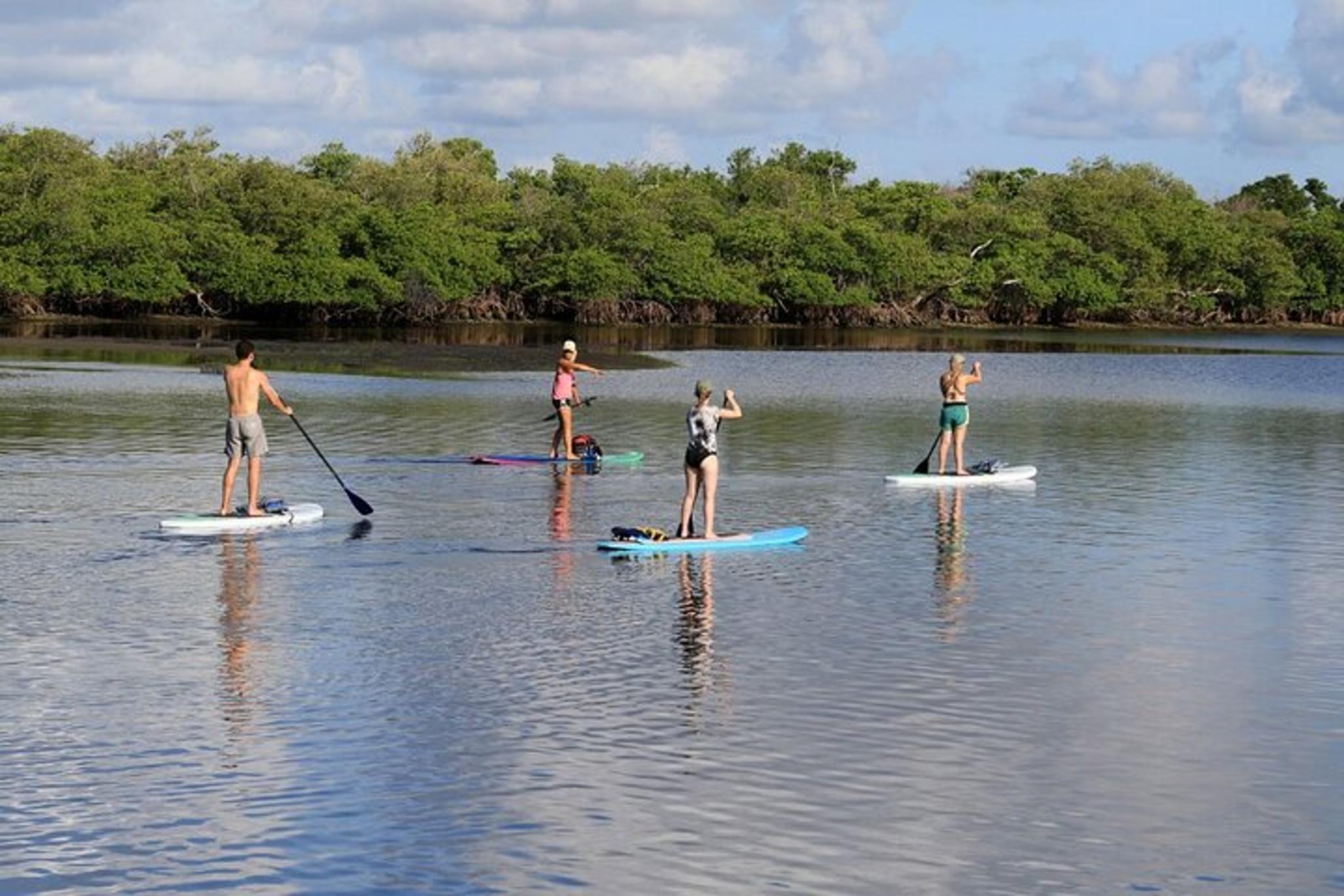 Naples Paddle Board Rental Full-Day - Image 3