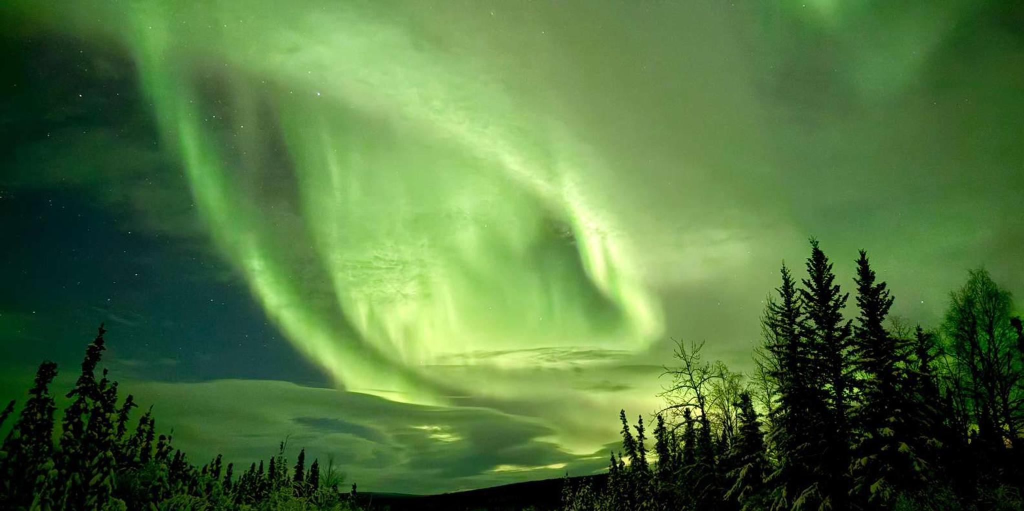 Fairbanks Arctic Circle Northern Lights Tour - Image 2