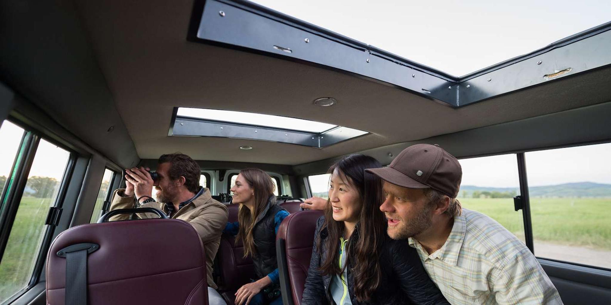 Jackson Grand Teton Wildlife Safari 4 hr - Image 2