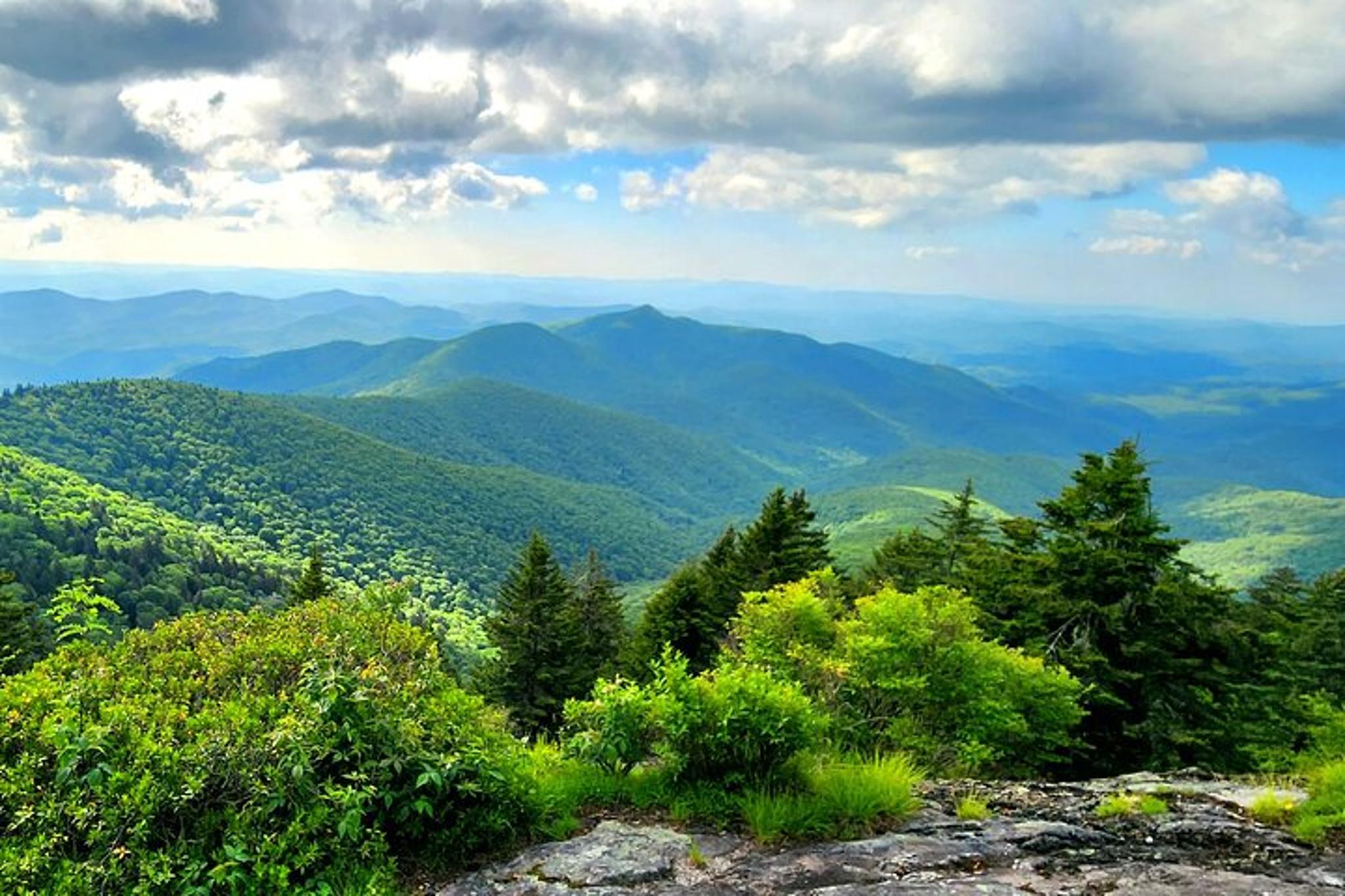 Asheville Hiking Tour in Blue Ridge Mountains - Image 2