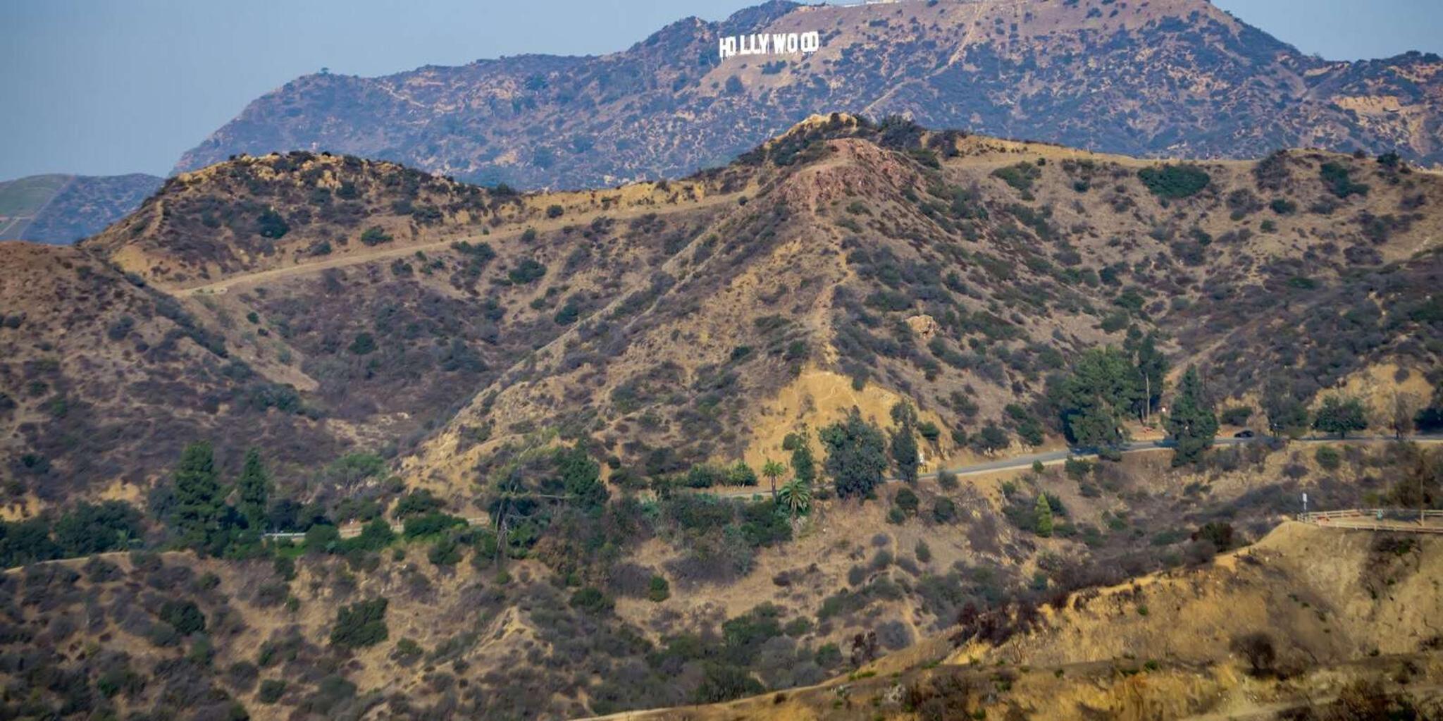 Los Angeles City Tour with Expert Guide - Image 4