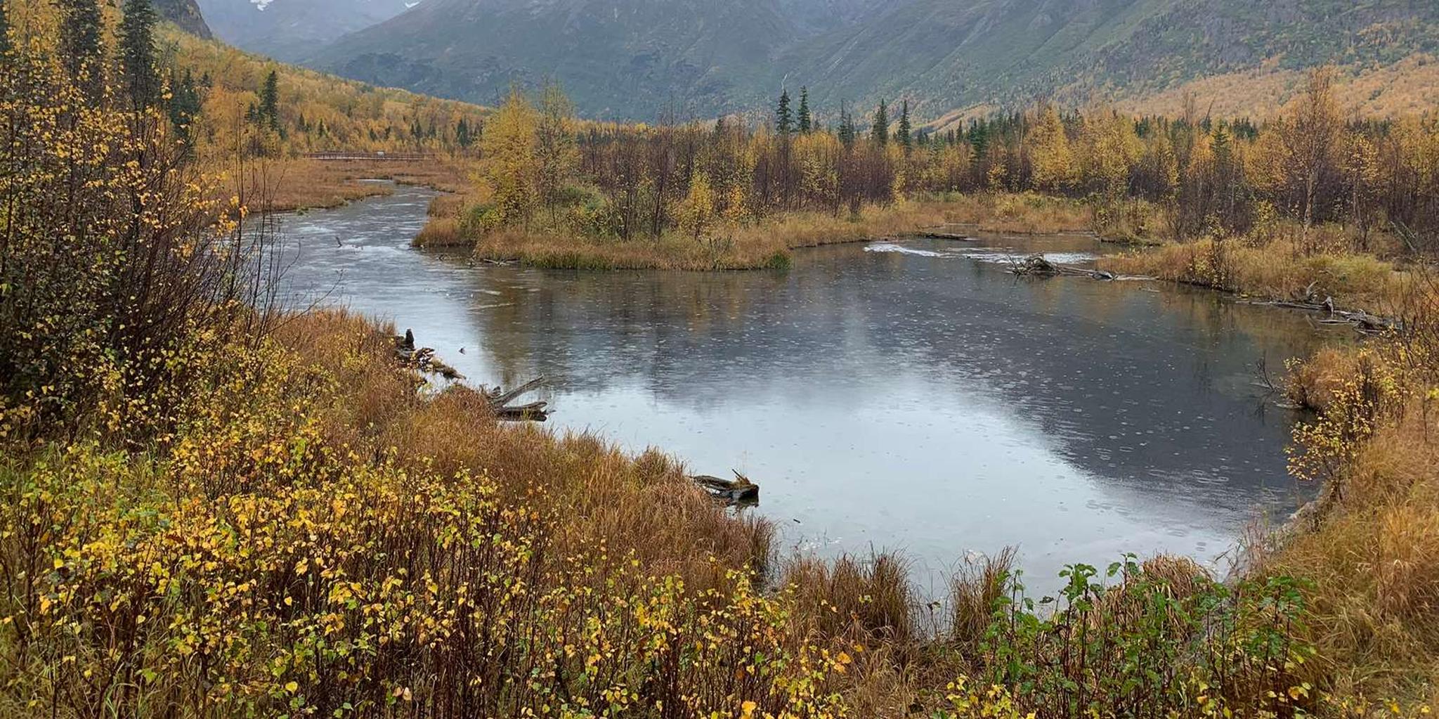 Anchorage Valley and Forest Hike with Naturalist - Image 3