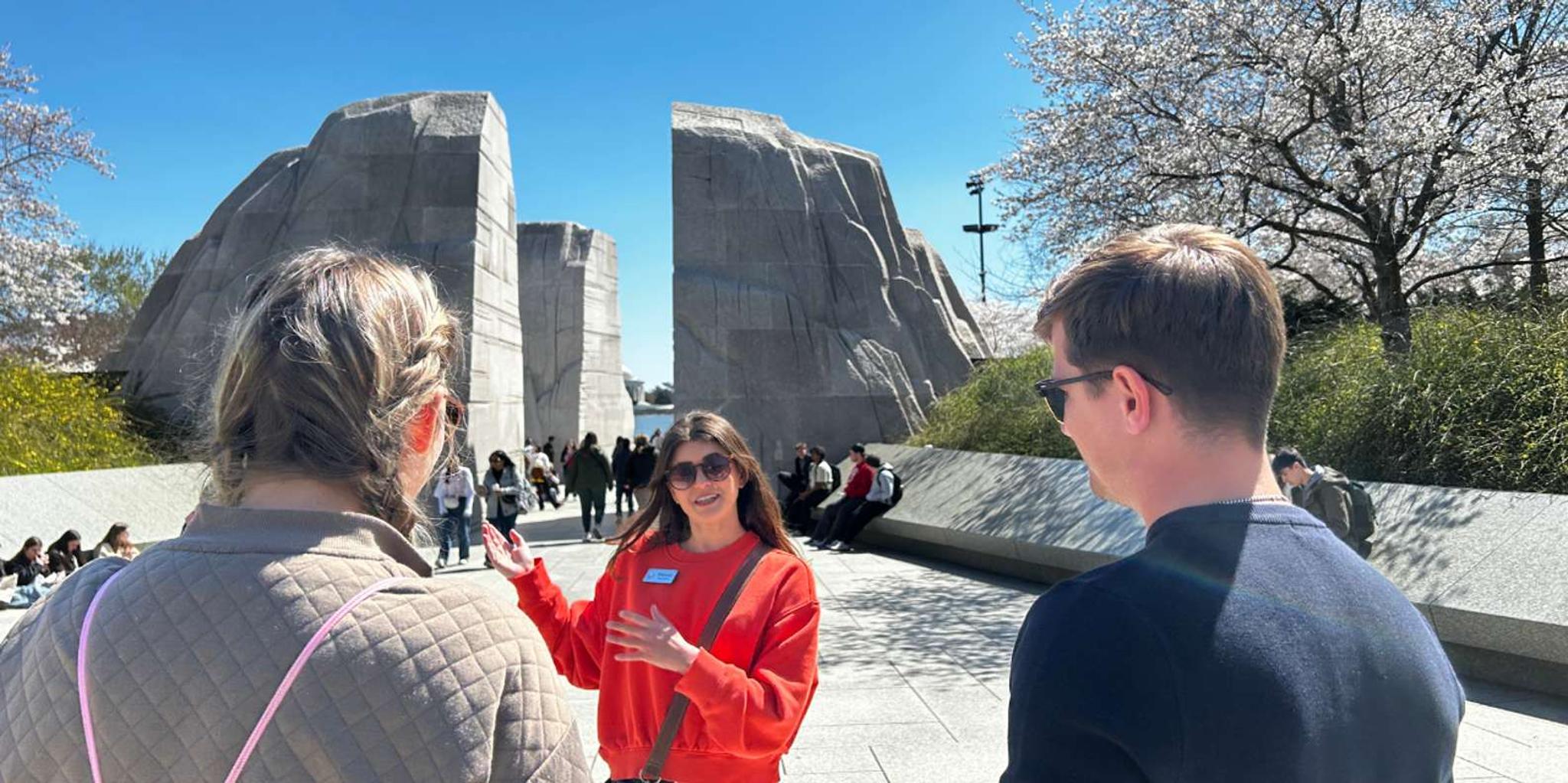 Washington DC Cherry Blossoms Walking Tour - Image 3