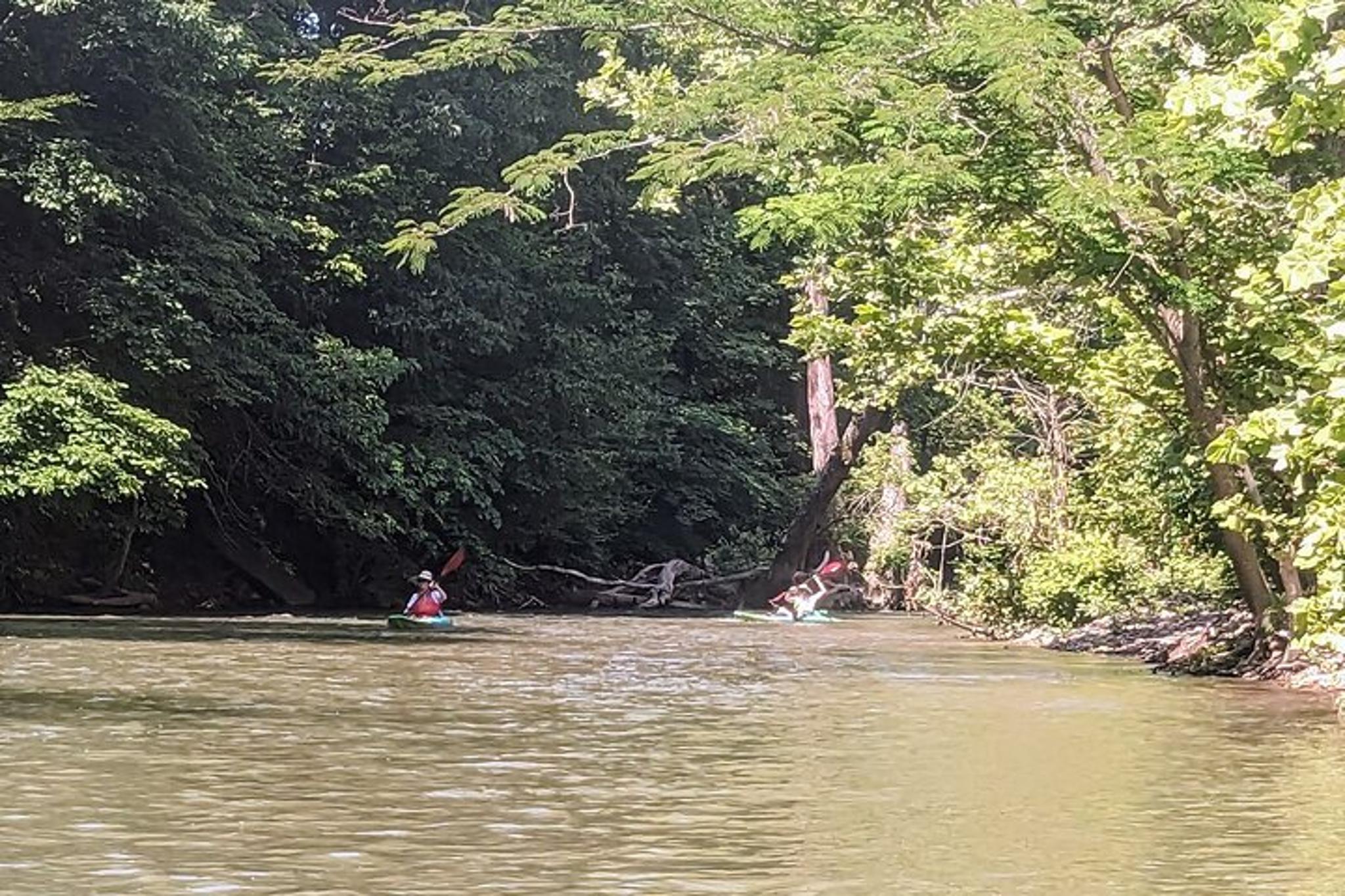Roanoke Kayaking Adventure on the River - Image 3