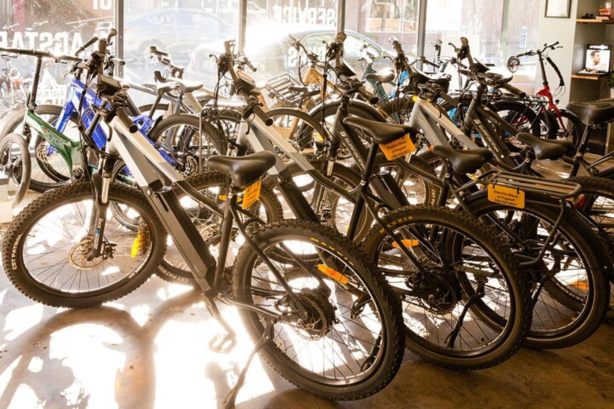 Flagstaff Electric Bike Rental - Image 3
