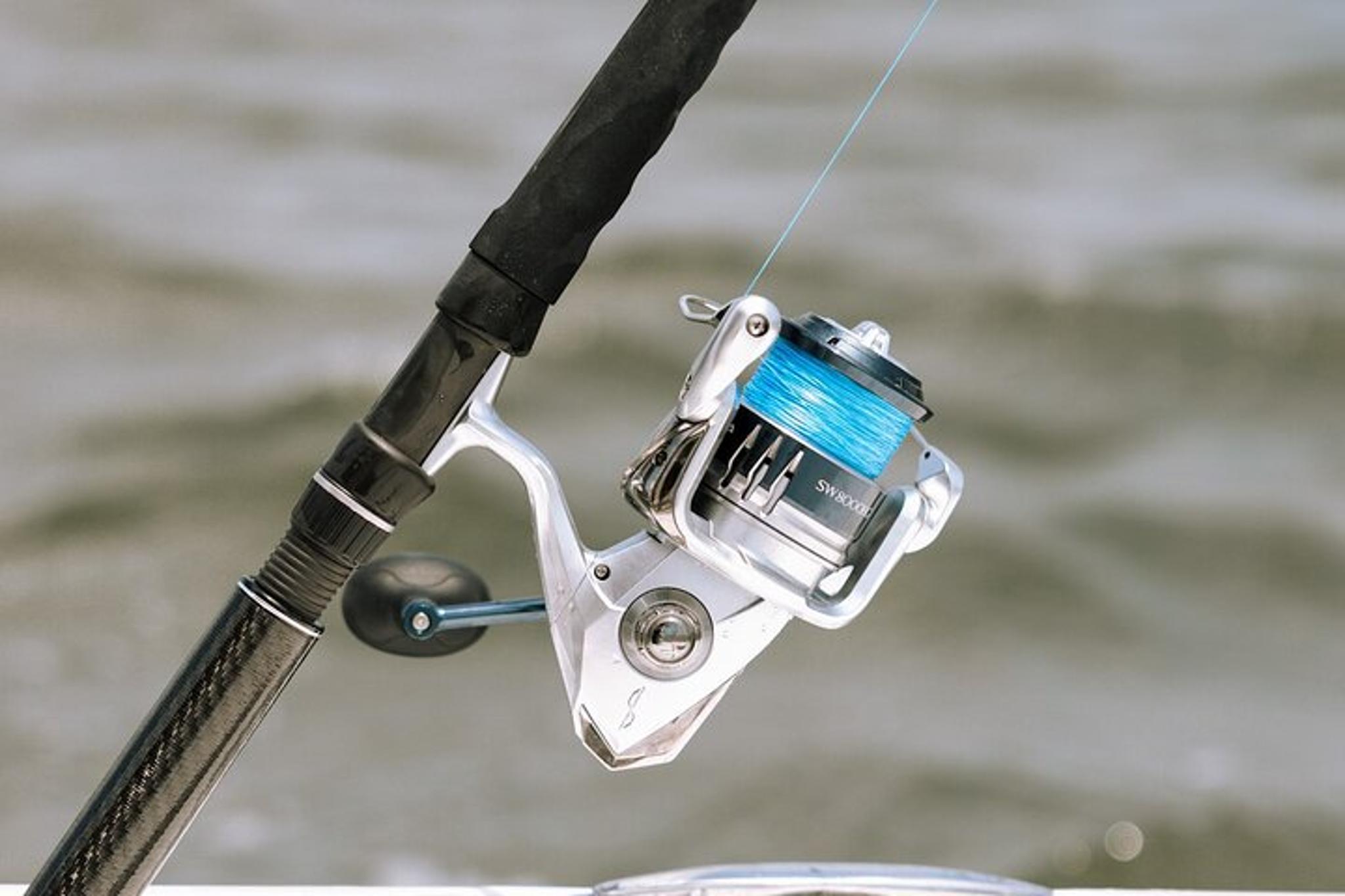 Charleston Inshore Fishing Charter 4 hr