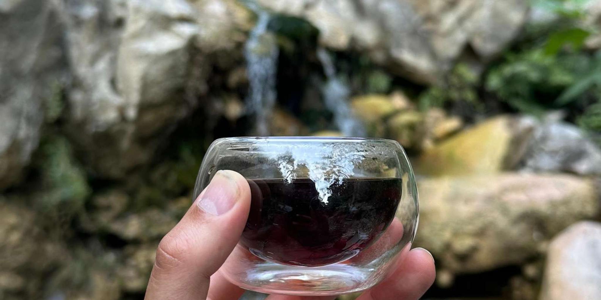 Santa Barbara Nature Trail Hike and Tea Ceremony - Image 2