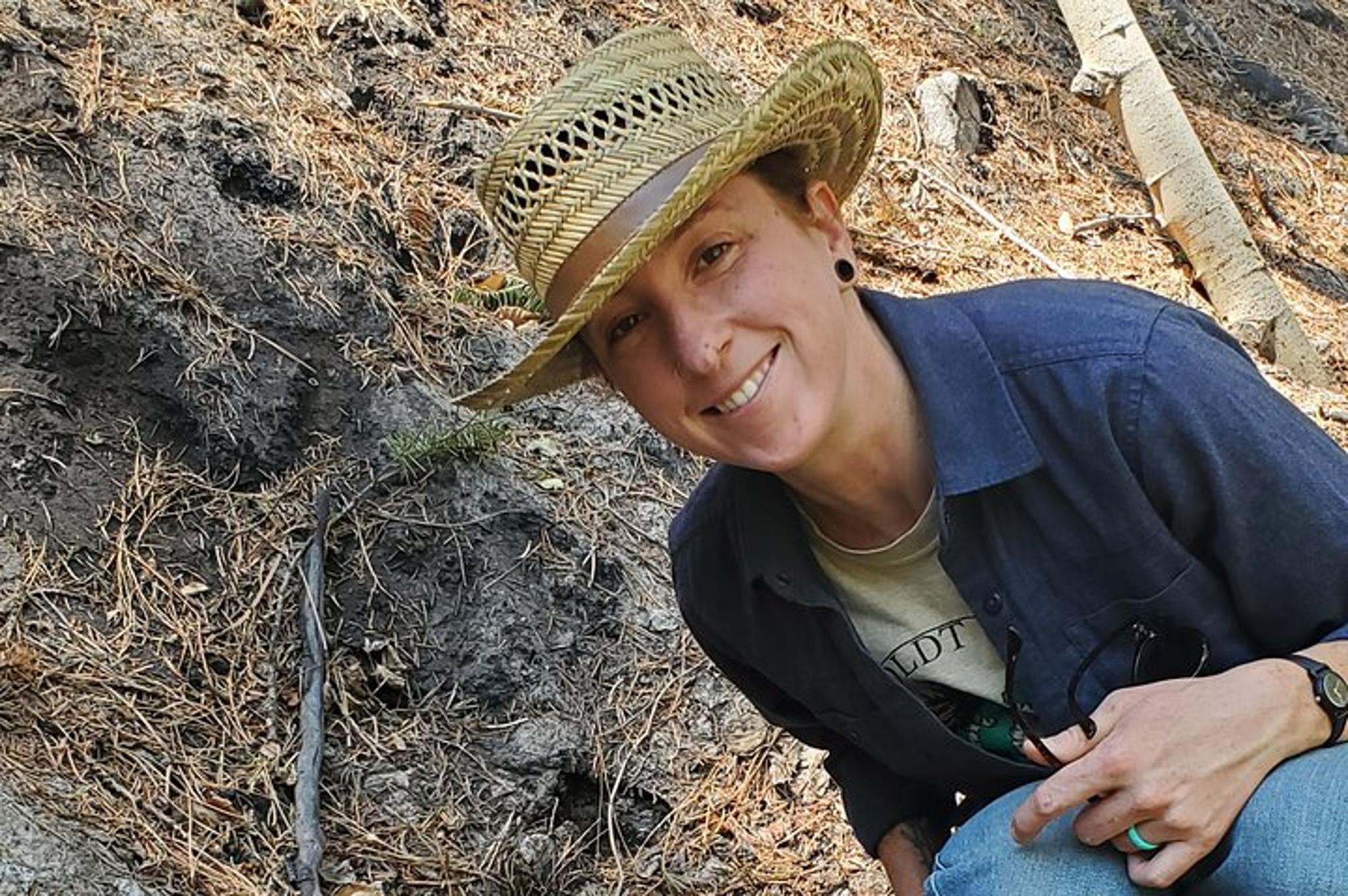 Boulder Foraging Experience in the Rocky Mountains - Image 5