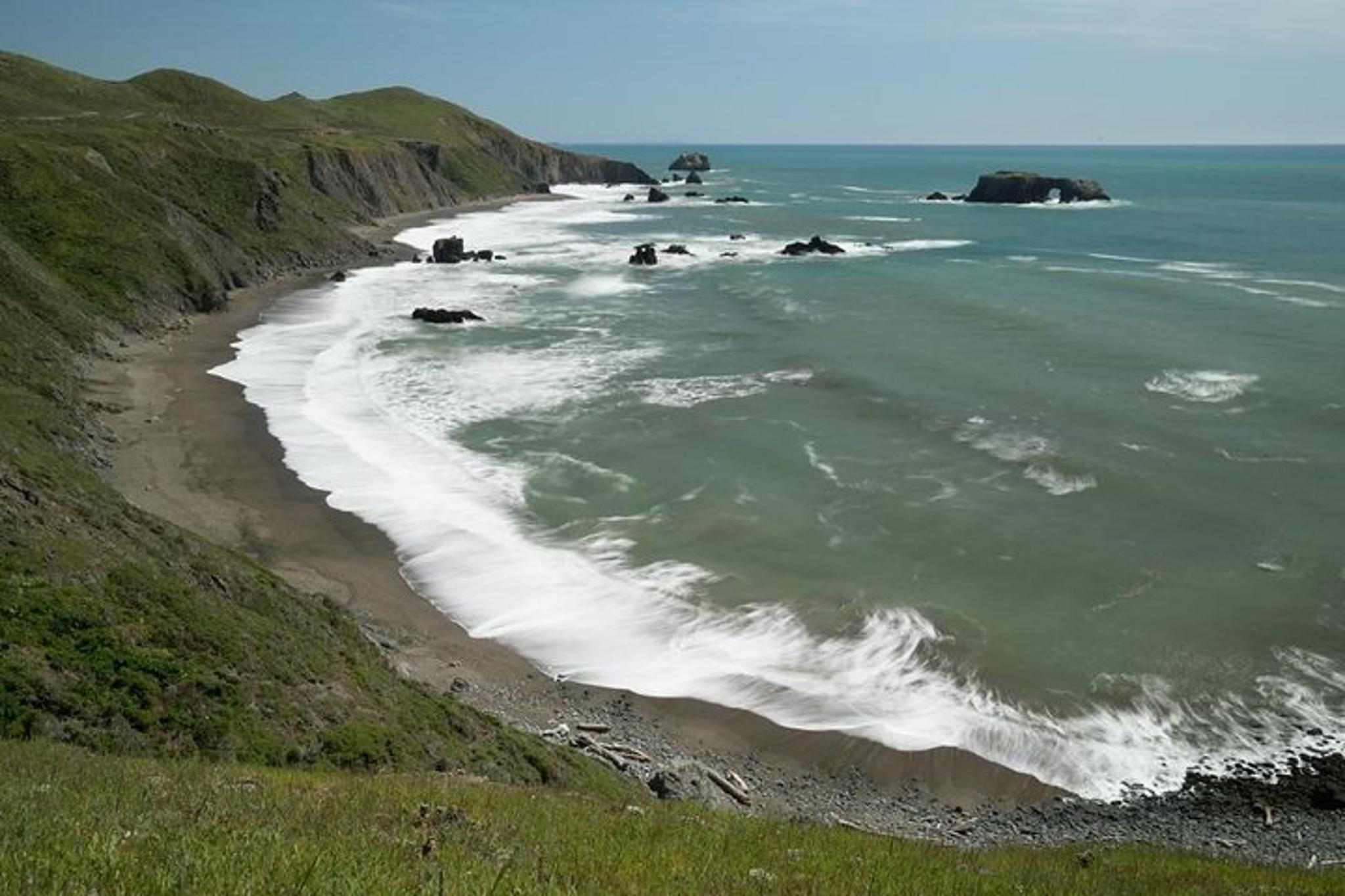 San Francisco Redwoods & California Coast Day Trip - Image 3