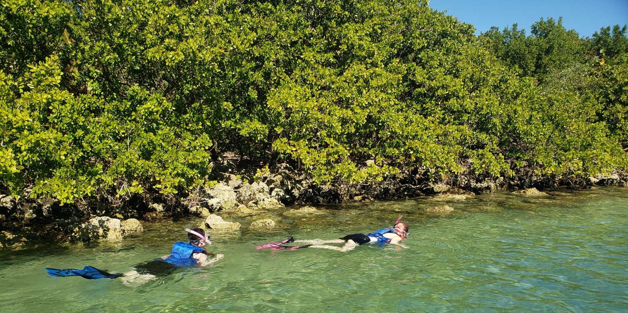 Miami Island Snorkeling by SUP or Kayak - Image 5