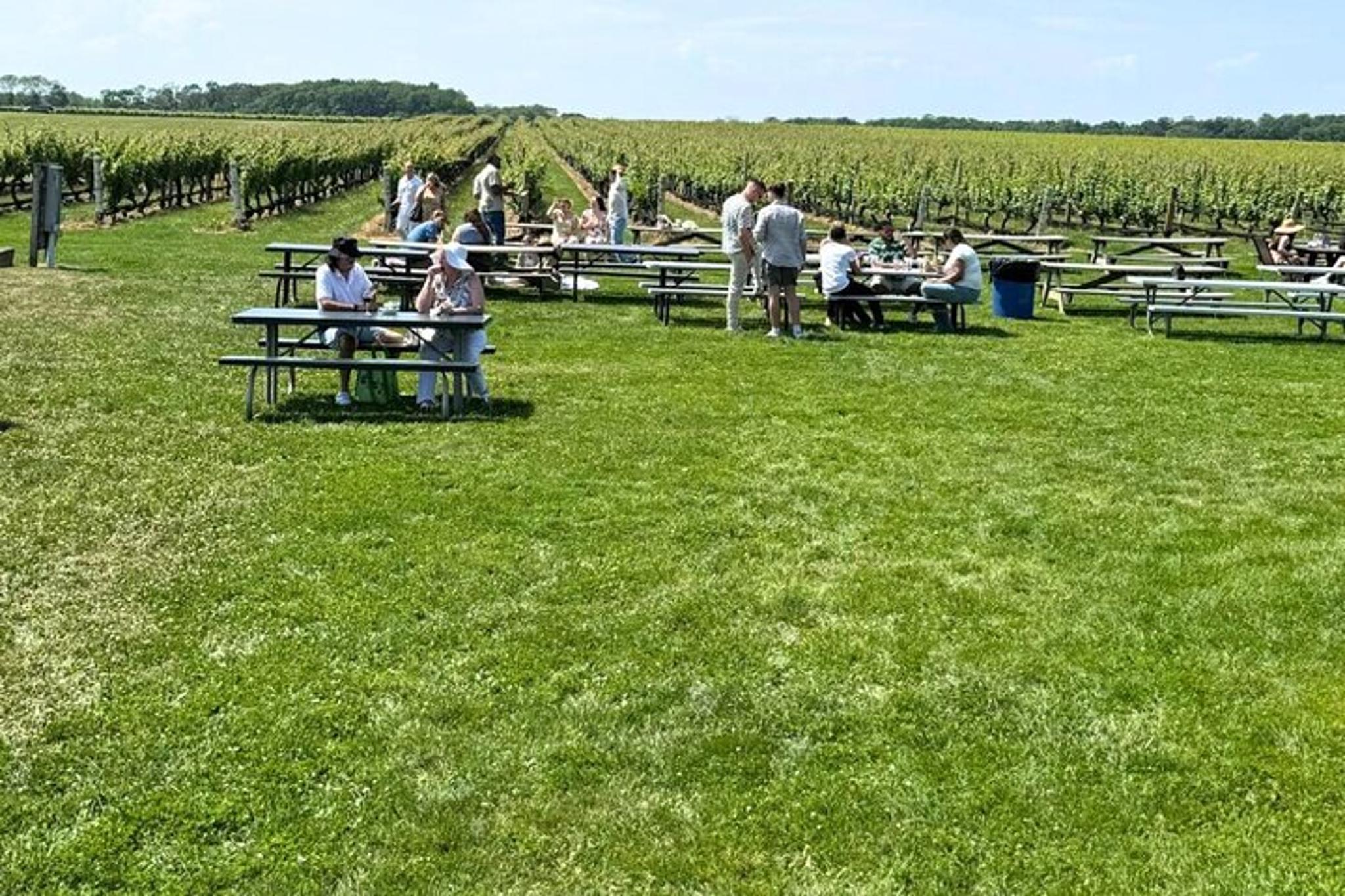 Long Island Wine Tour Pindar Winery - Image 5