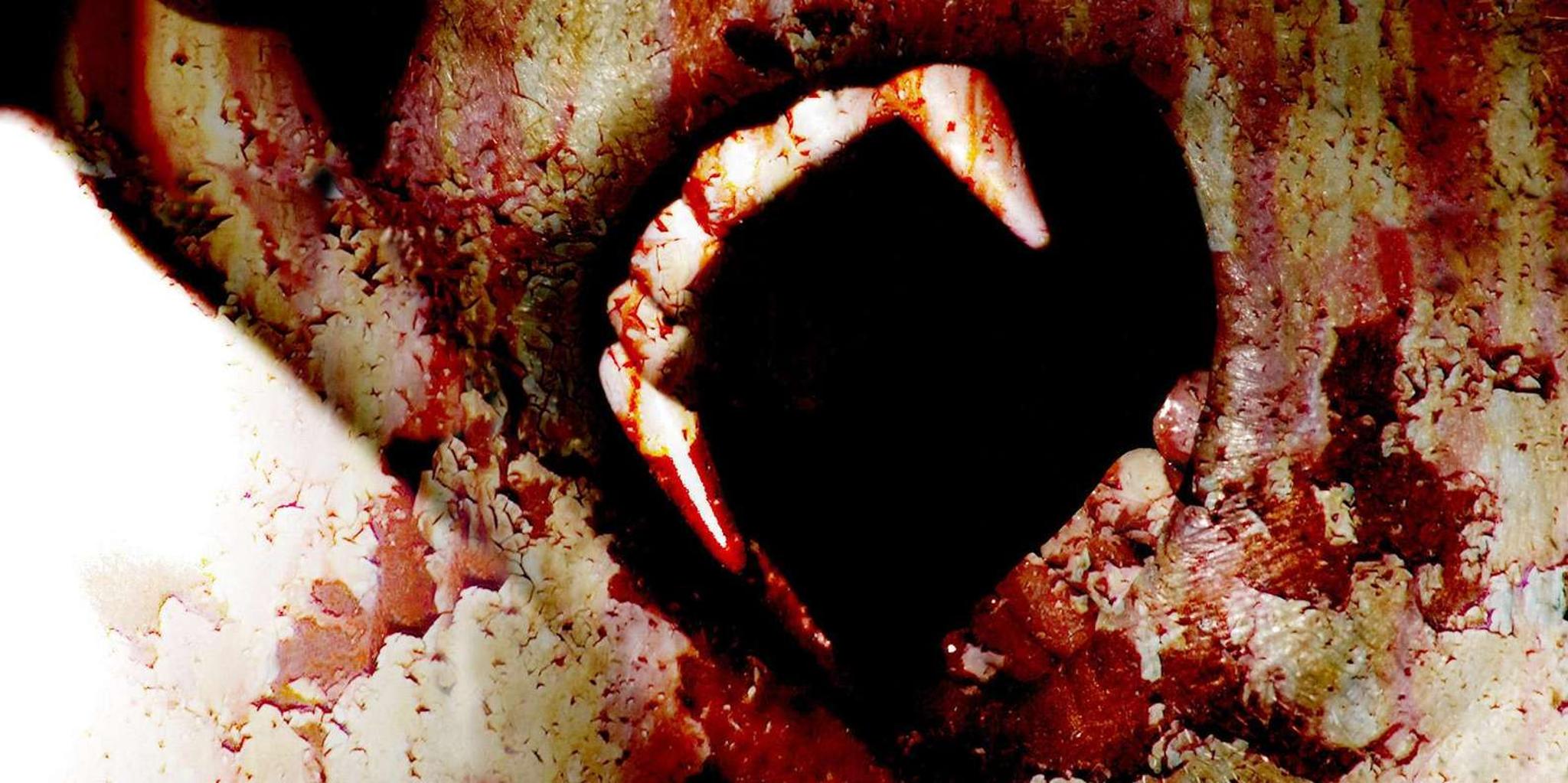 New Orleans Vampires, Voodoo, and Ghosts Tour - Image 4