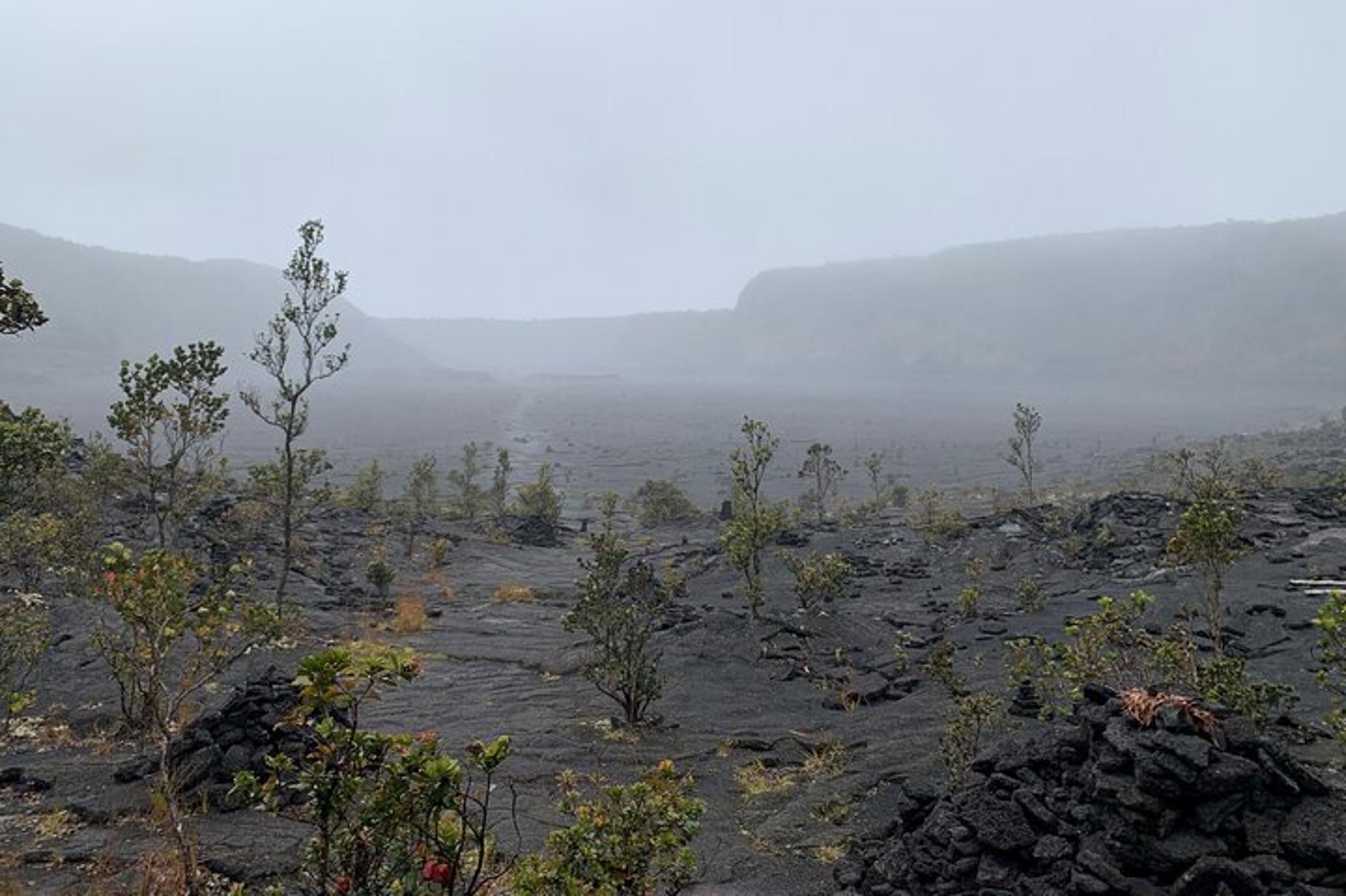 Hilo Volcanoes National Park Private Tour 5 hr - Image 6