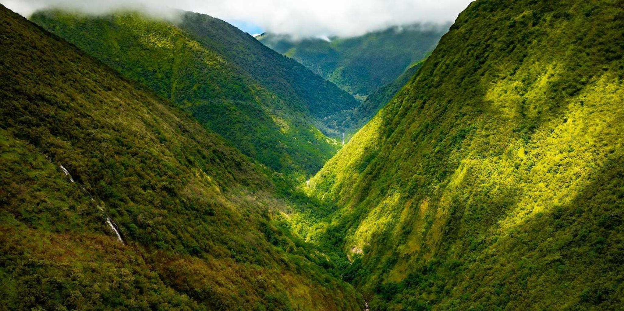 Hilo Helicopter Tour of Hamakua Coast and Valleys - Image 3