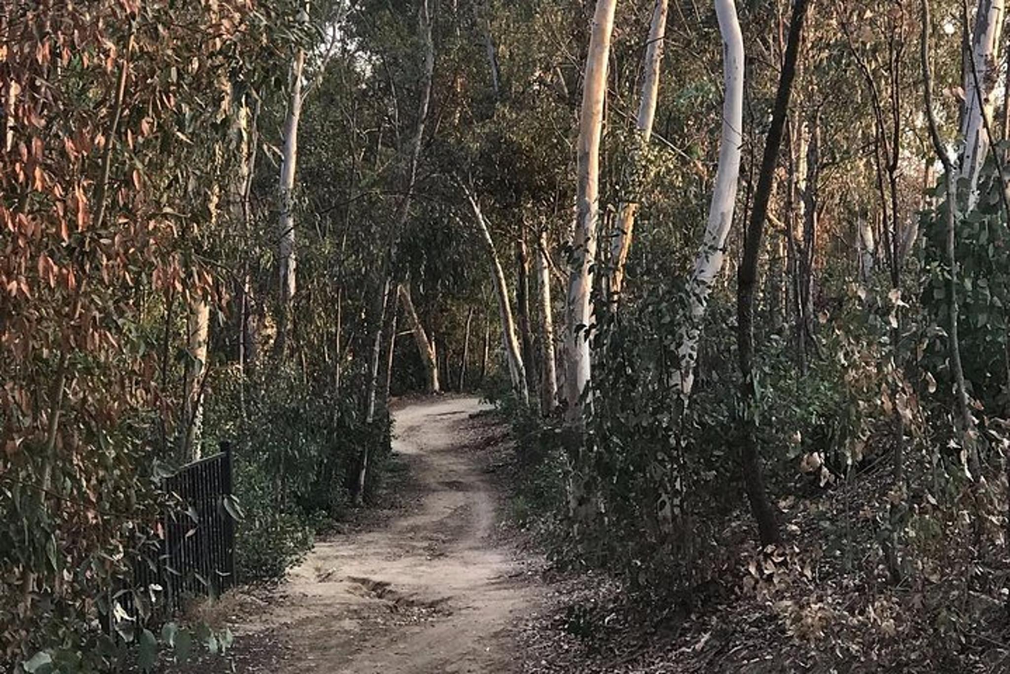 Fullerton Electric Bike Tour - Image 2