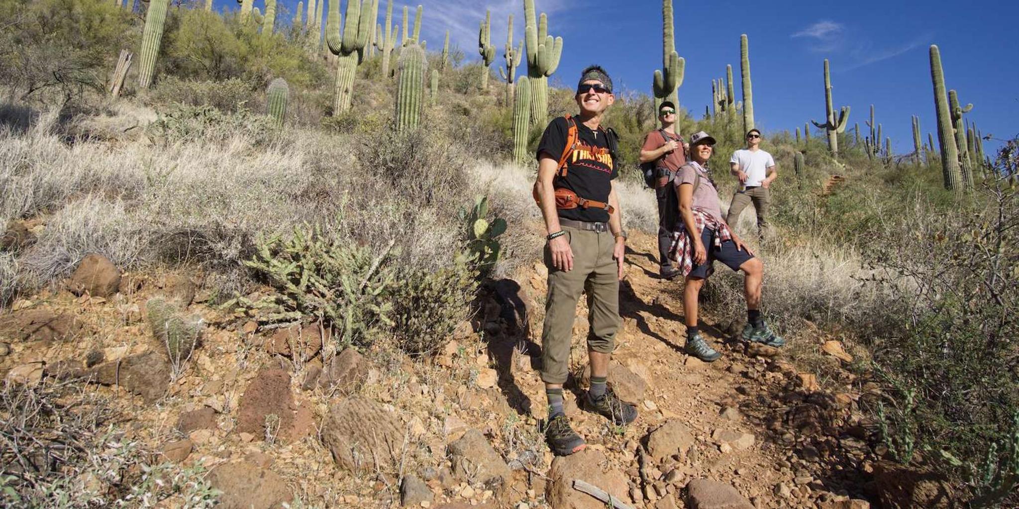 Scottsdale Desert Guided Hike - Image 4