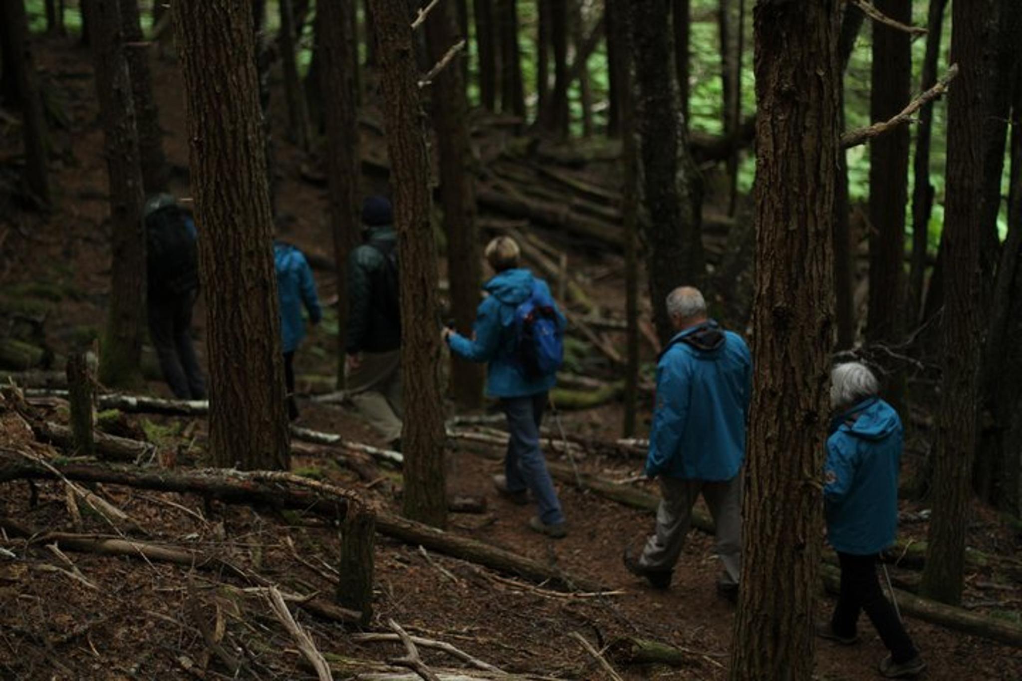 Haines Coastal Hike - Image 4