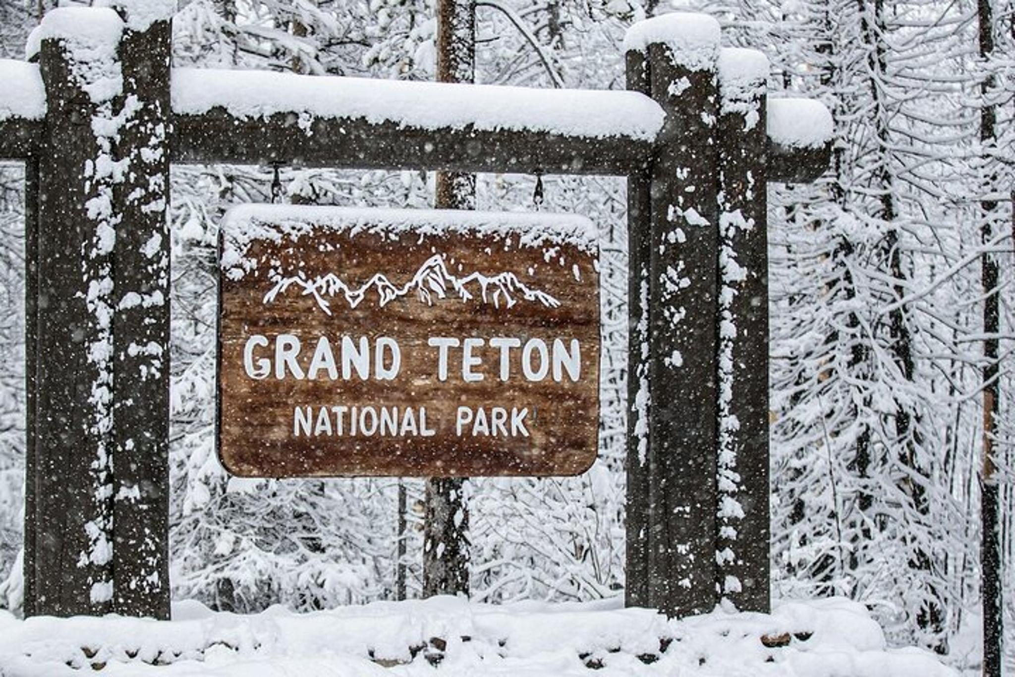 Grand Teton Winter Wildlife Tour