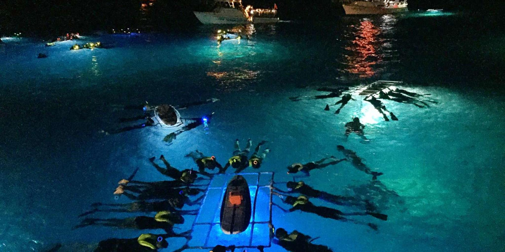 Kailua Kona Manta Ray Night Snorkel Adventure