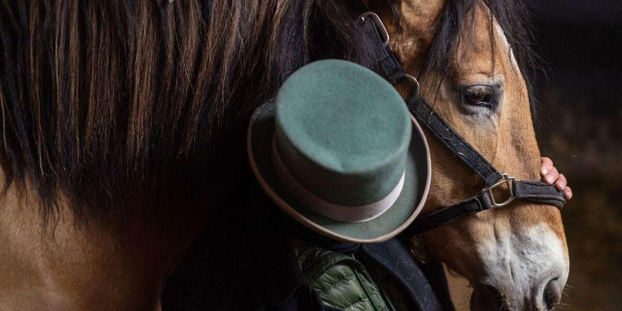 New York Central Park Horse-Drawn Carriage Ride - Image 2