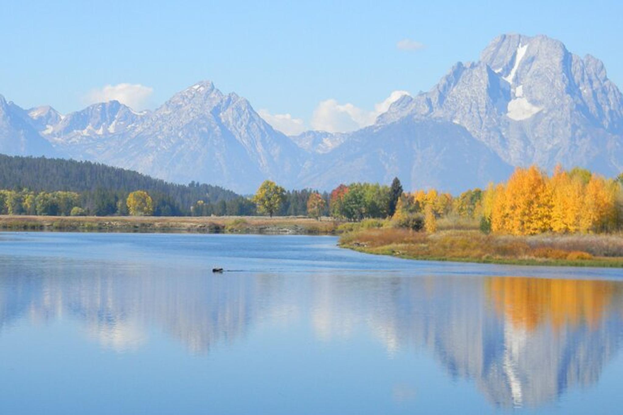 Jackson Grand Teton Tour with Picnic Dinner 6 hr - Image 5