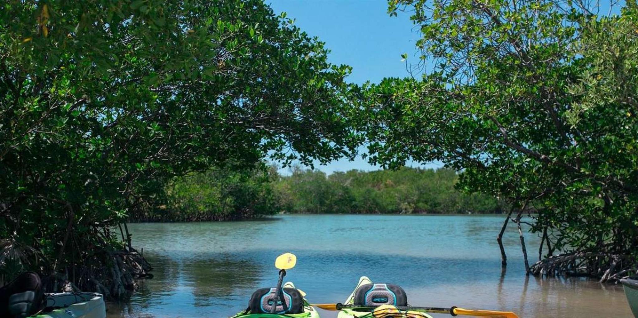 Miami Oleta River State Park Eco Paddle Tour 2 hr