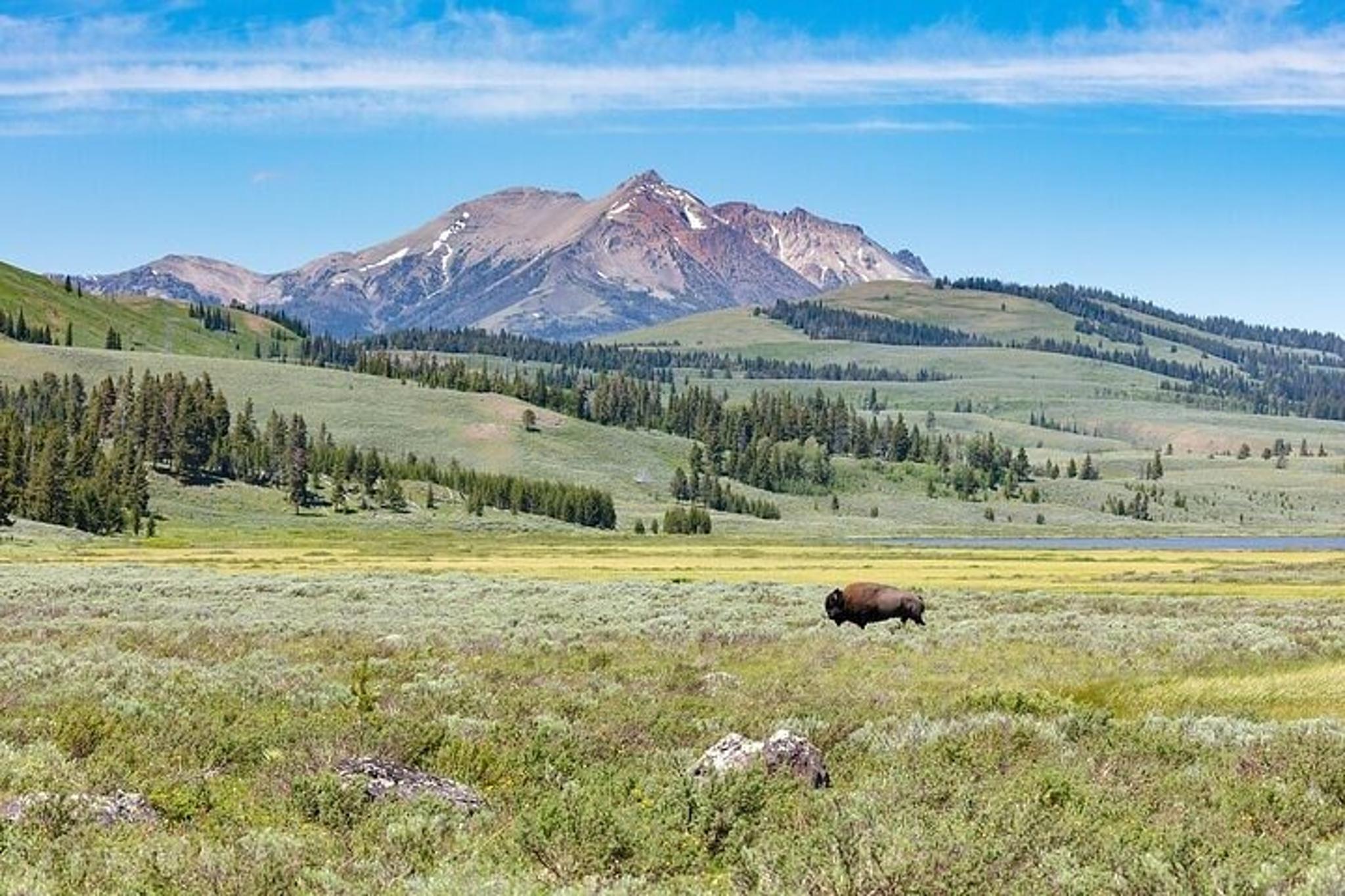 Yellowstone Terrace Mountain Loop Naturalist Hike