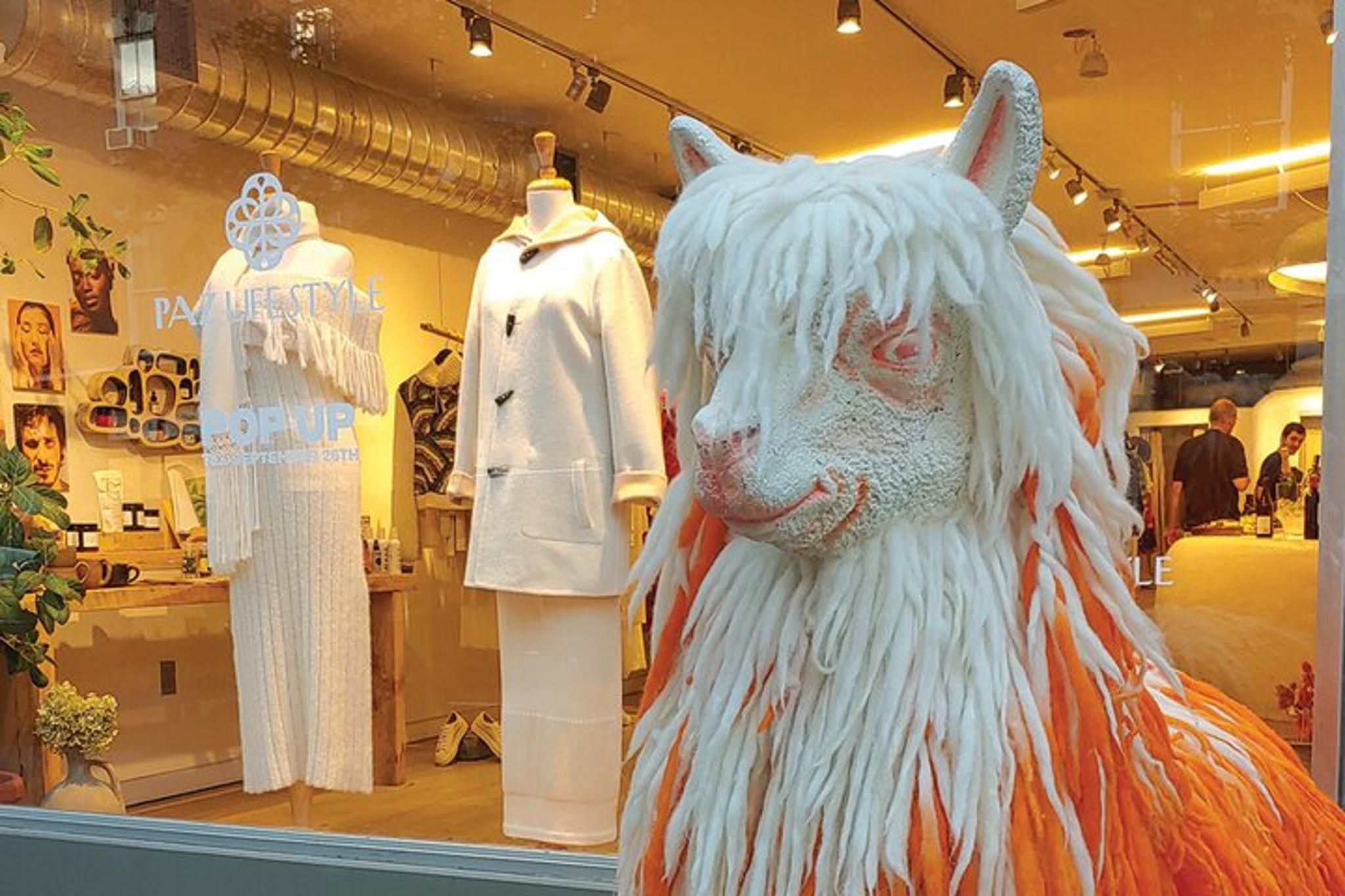New York City SoHo Boutique Shopping Tour - Image 5