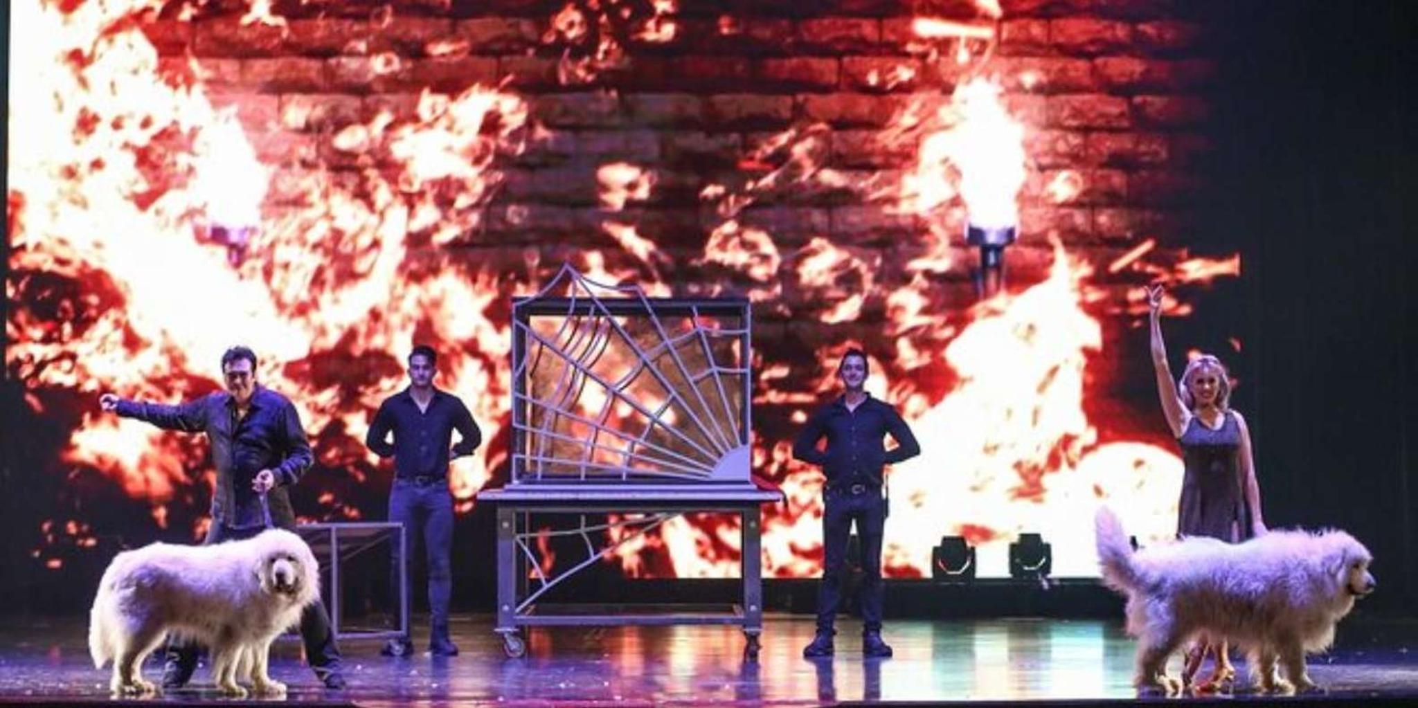 Branson Magic Show at Mansion of Dreams 2 hr - Image 3