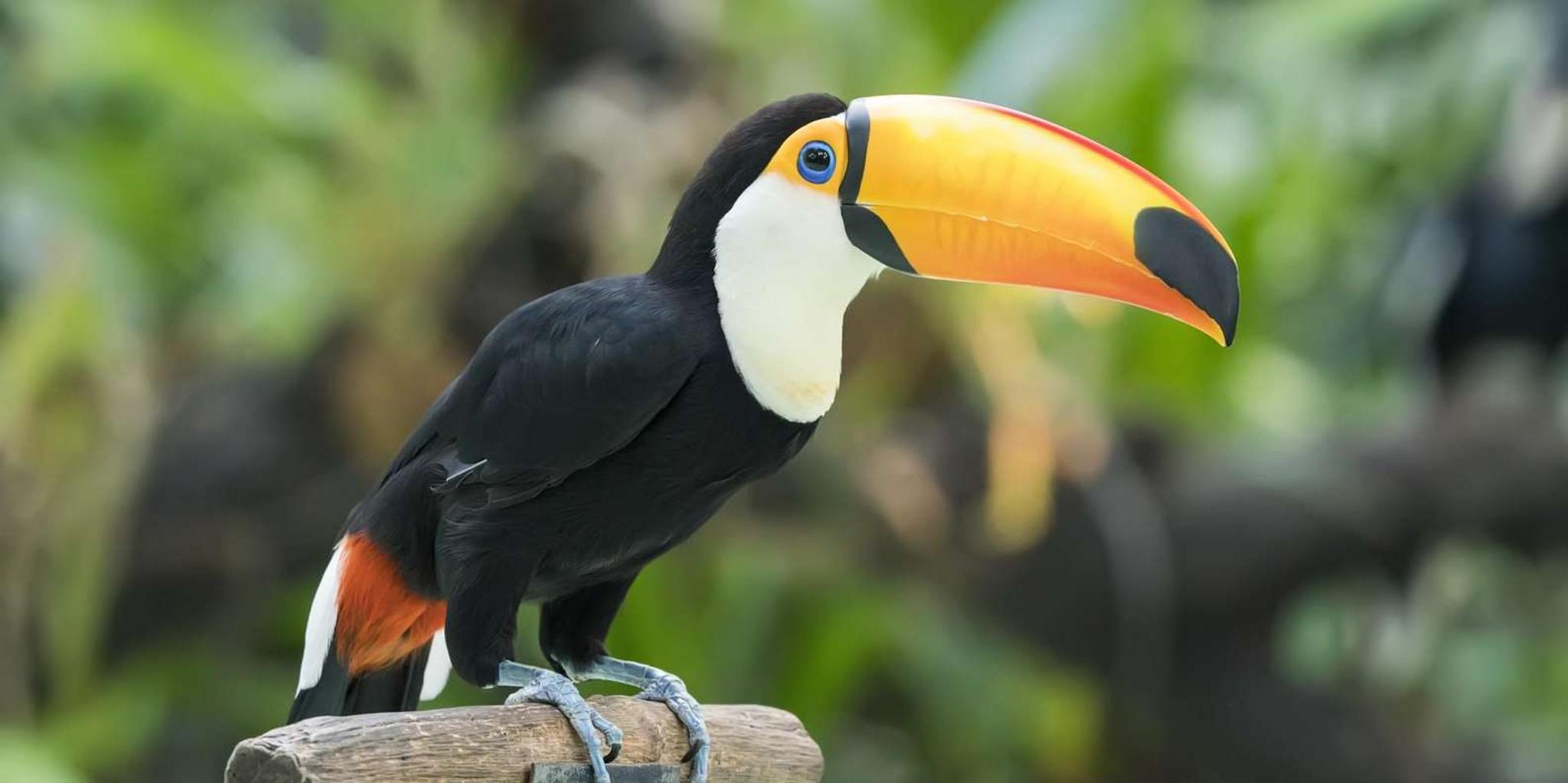 New York Central Park Zoo Tour with Private Transfers