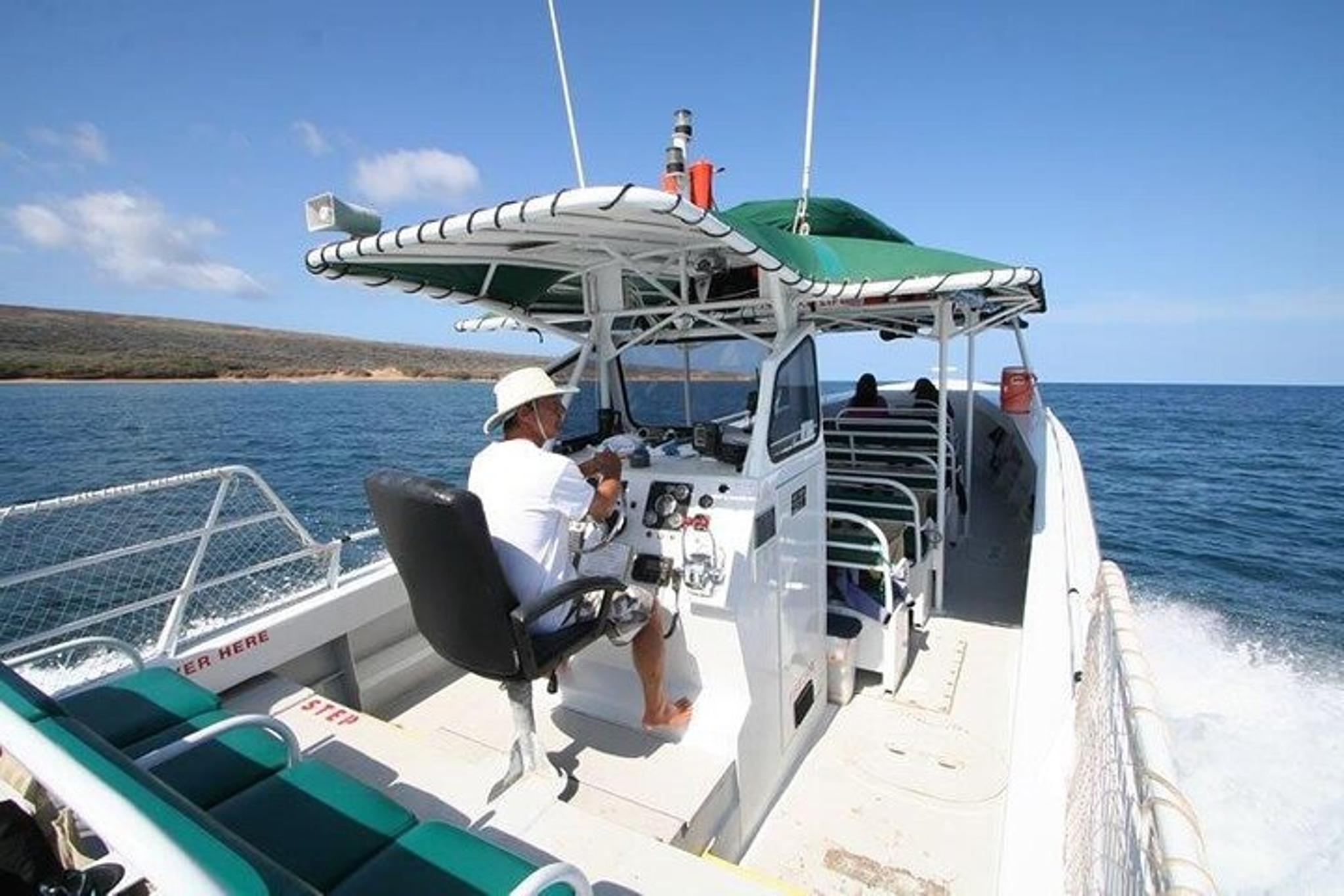 Kaanapali Whale Watching and Dolphin Search Private Charter - Image 5