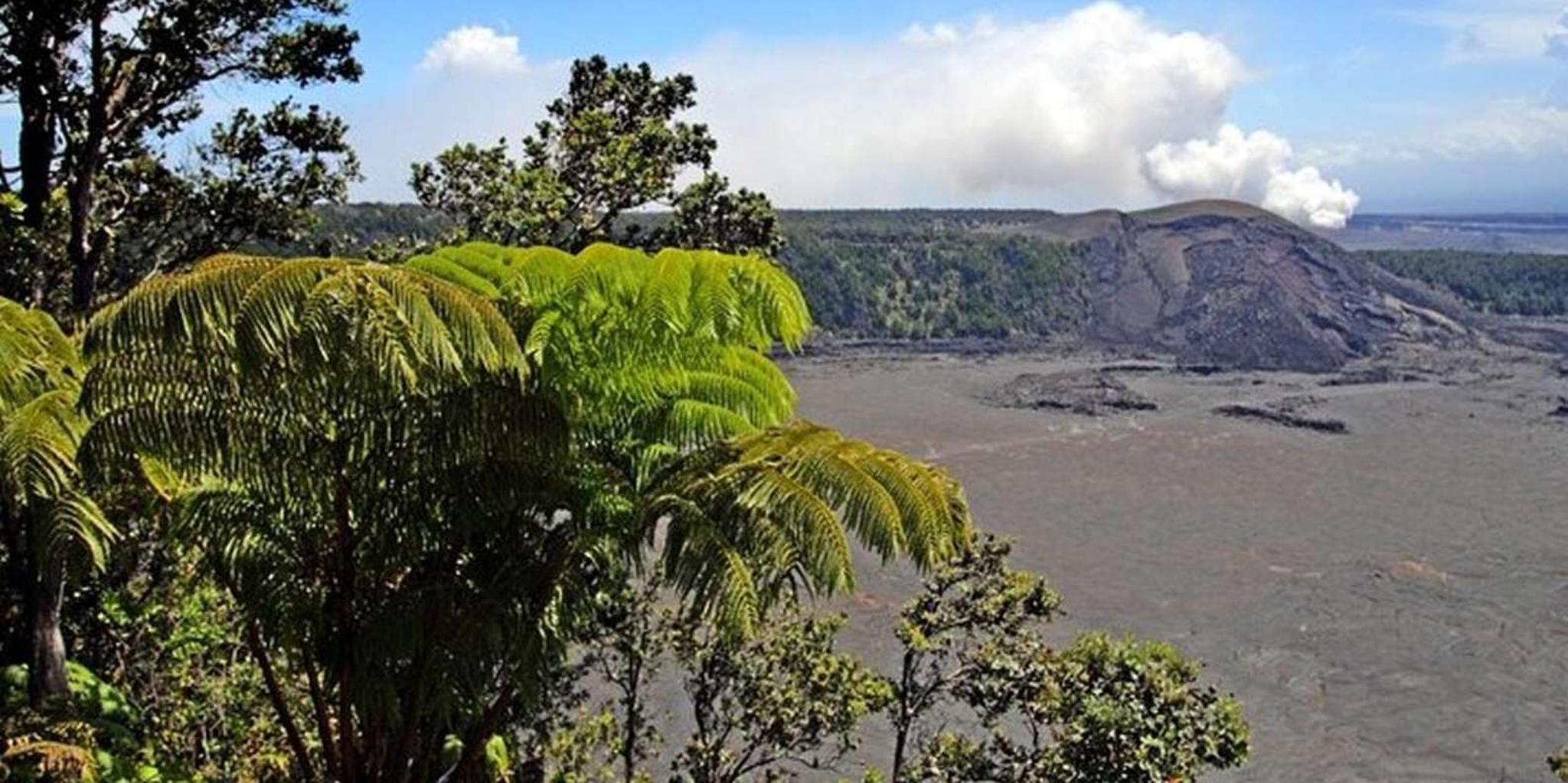 Hilo Volcano Day Tour from Honolulu - Image 2