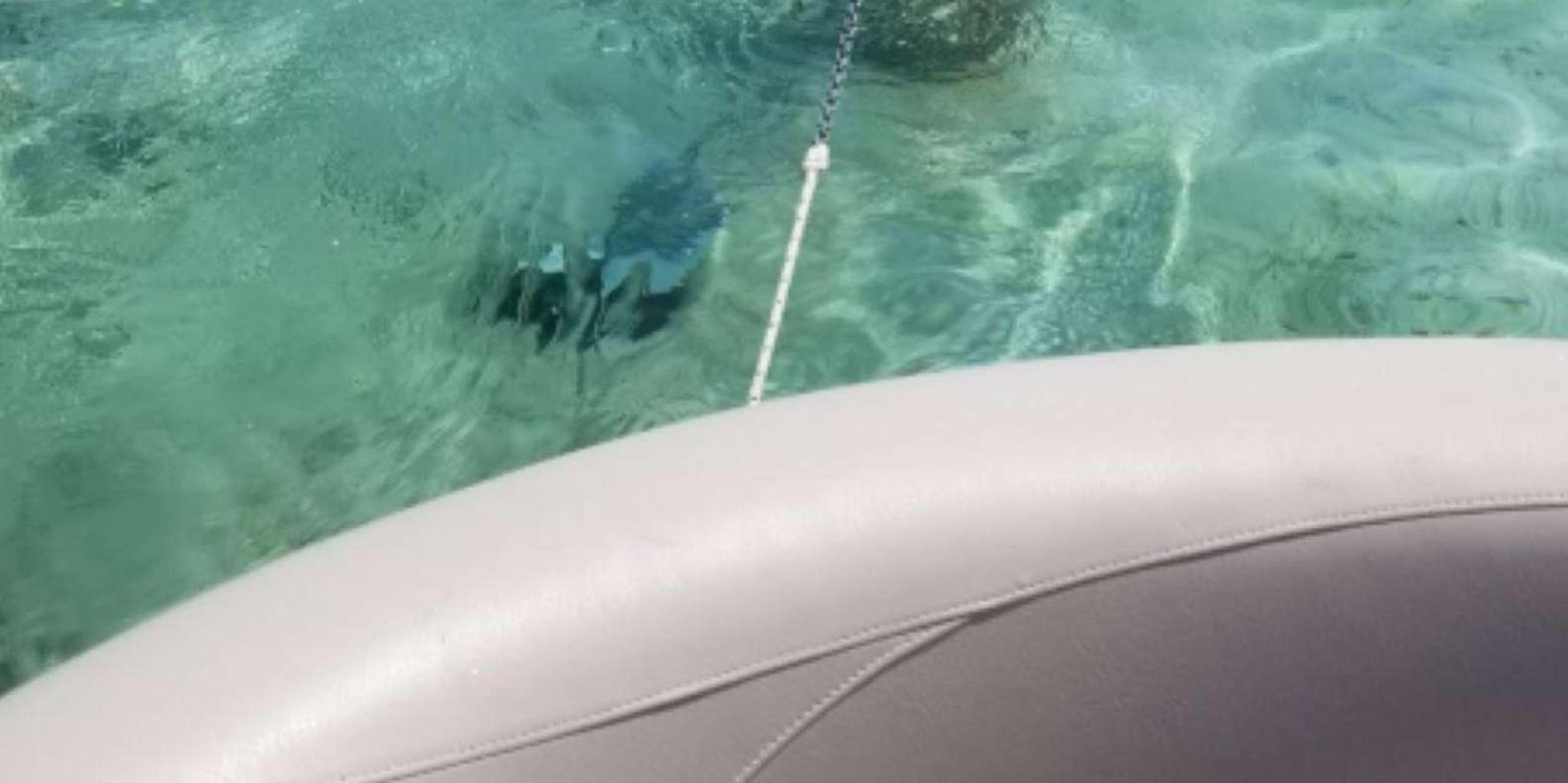 Destin Pontoon Boat Rental 8 hr - Image 5
