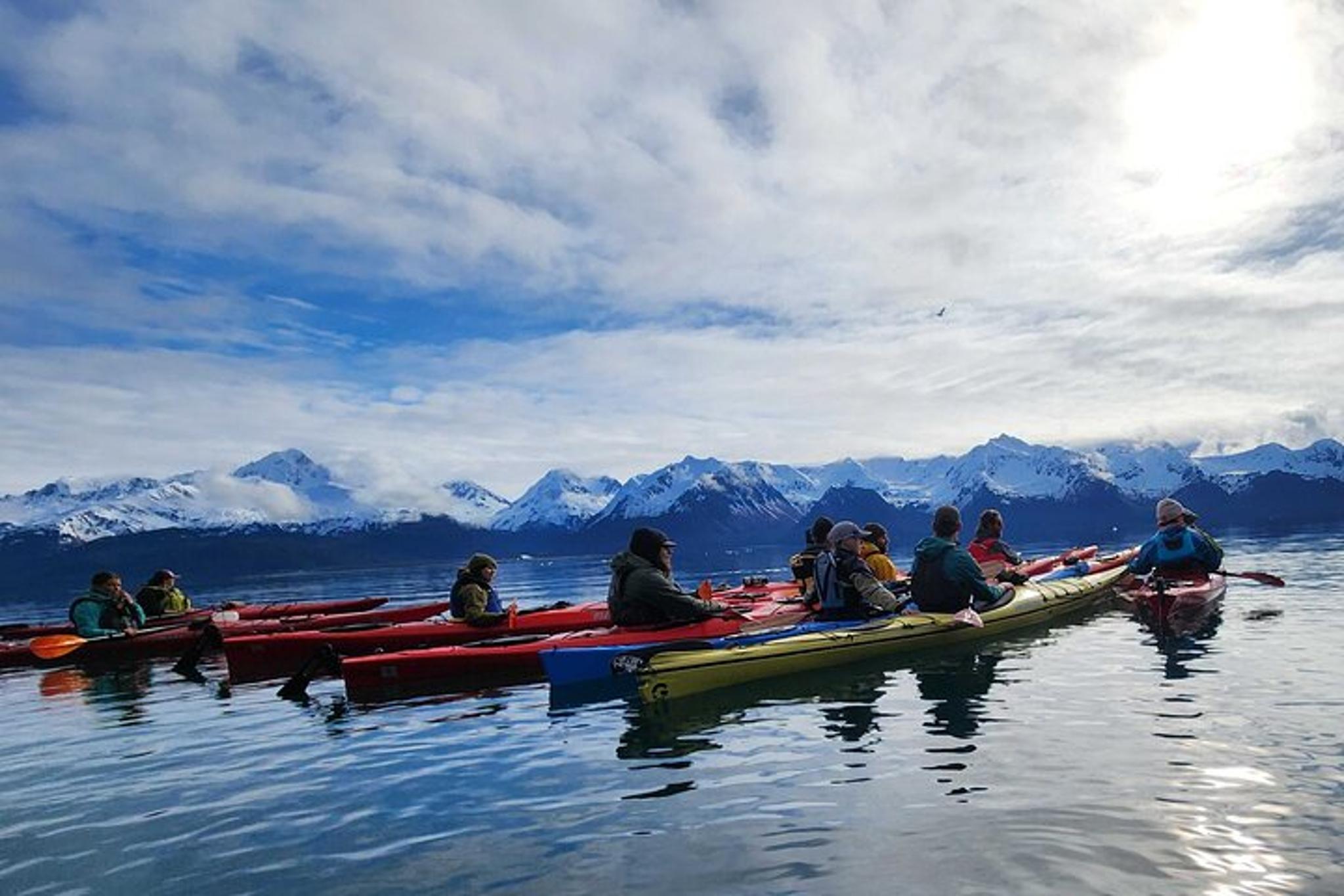 Seward Kayak Adventure in Resurrection Bay - Image 5