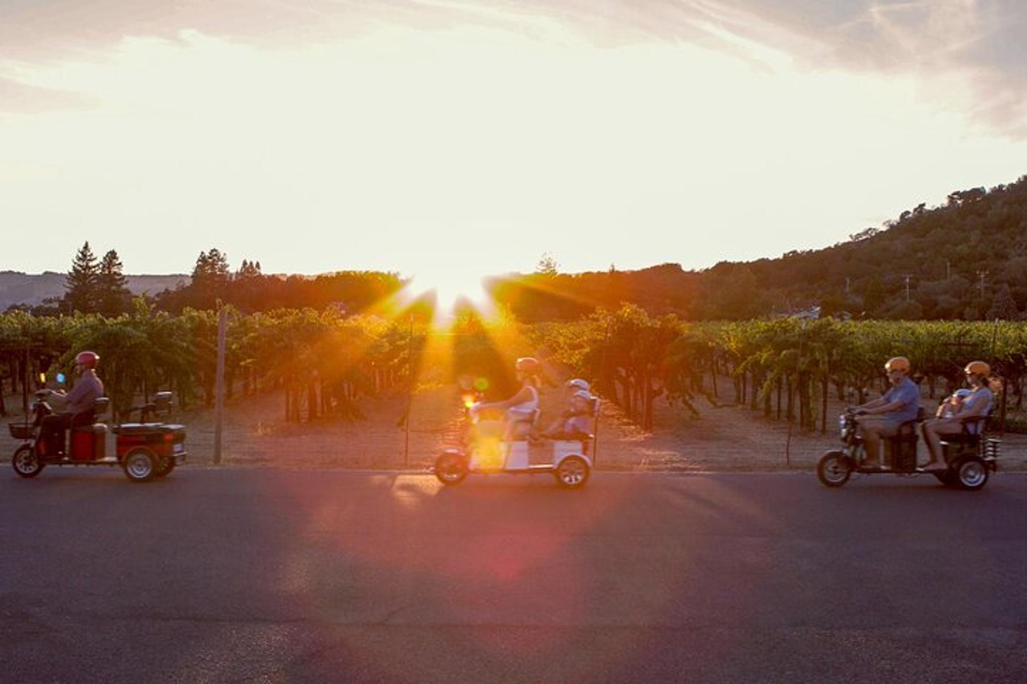 Sonoma Electric Trike Sunset Tour - Image 2