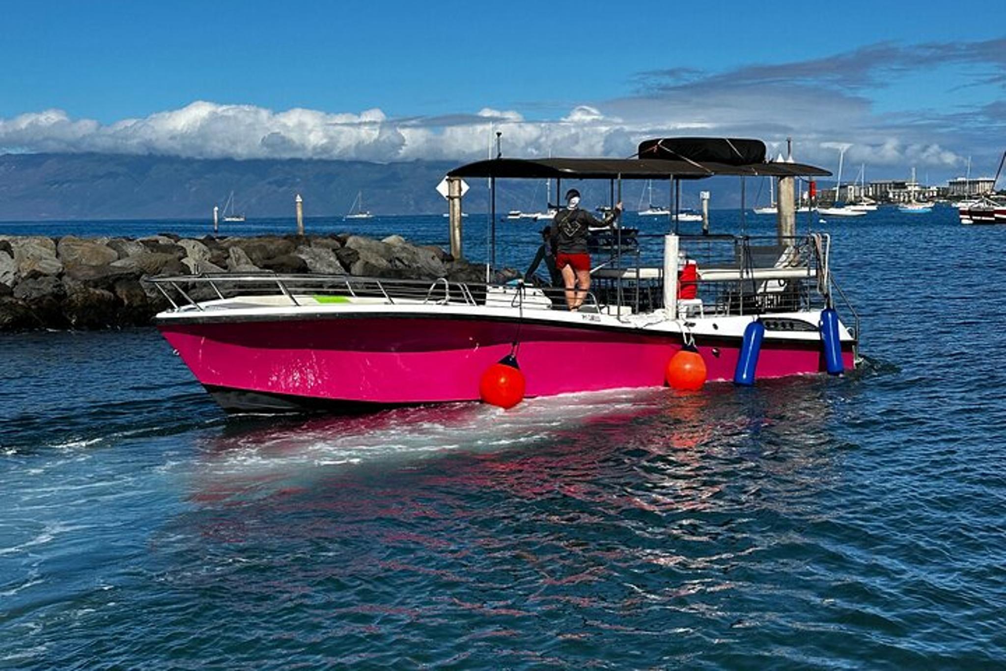 Maui Whale Watching Tour at Midday - Image 2