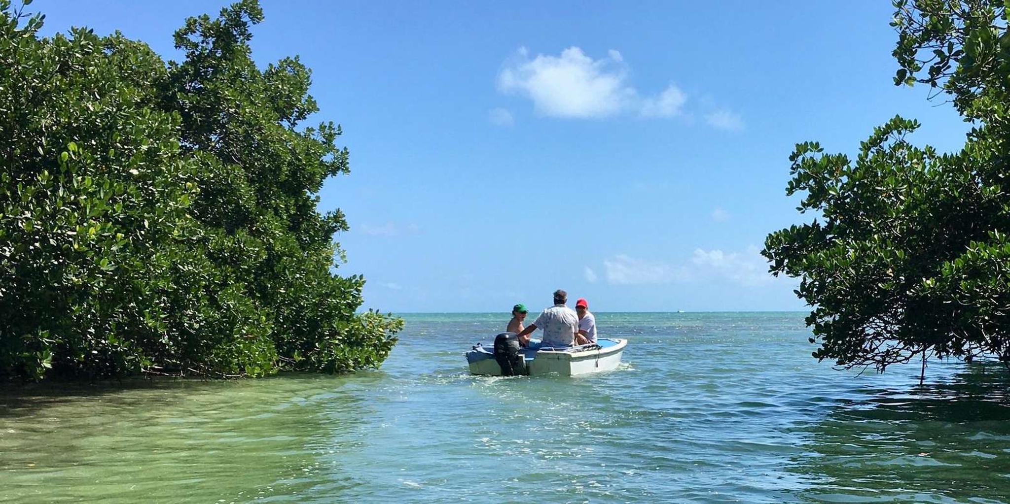 Key West Mangroves and Bars Motorboat Tour