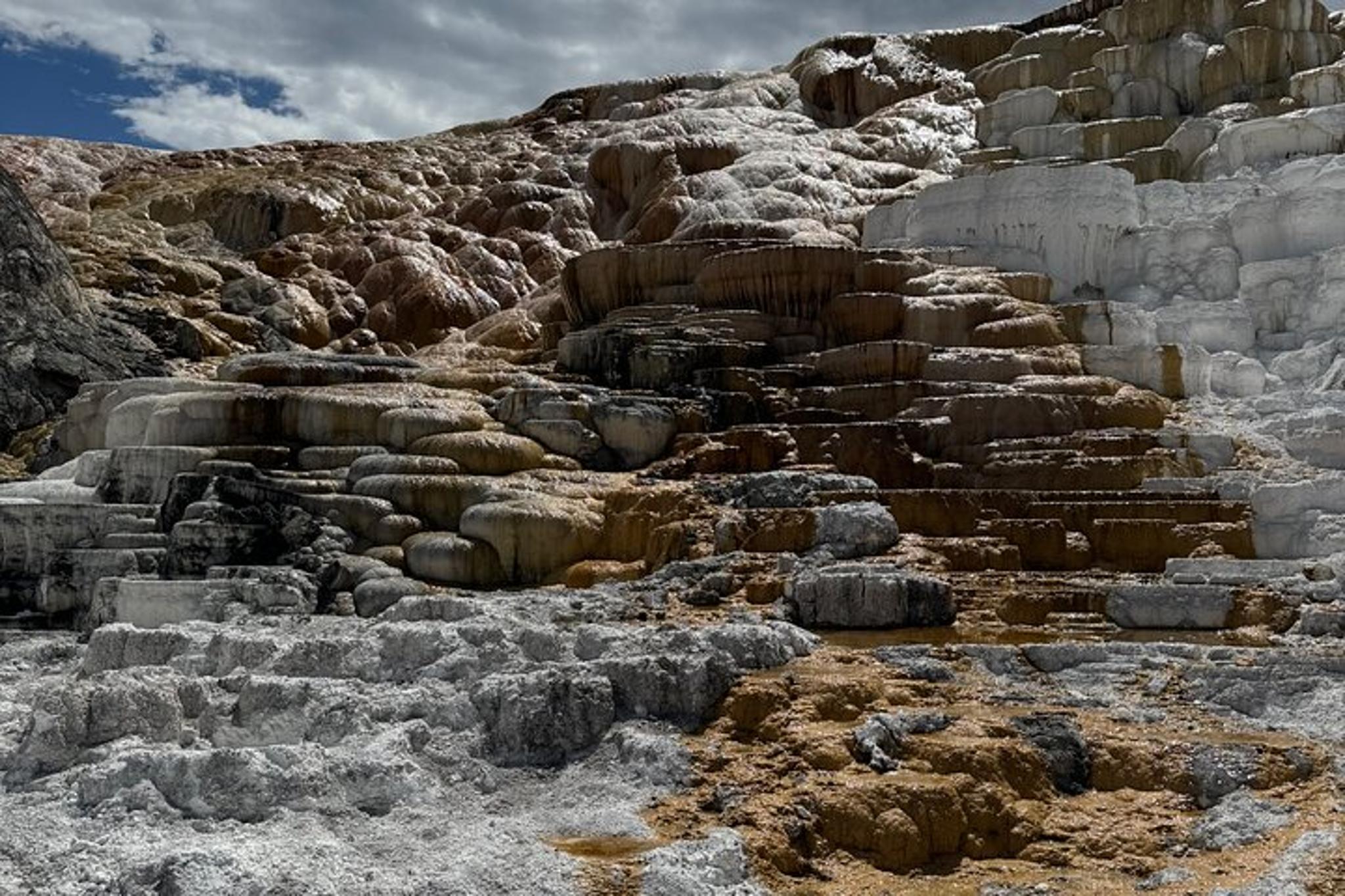 Yellowstone Private Tour - Image 3