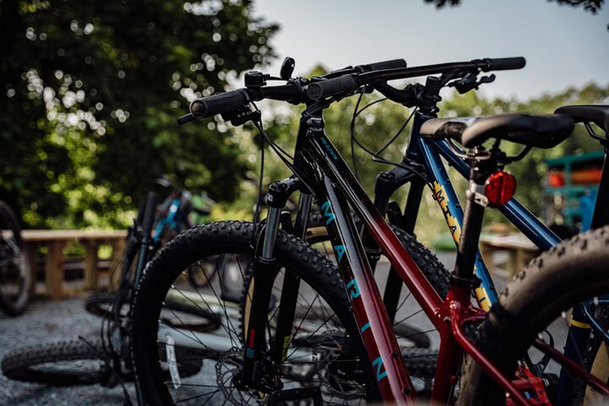 Roanoke Mountain Bike Tour from The Star - Image 4