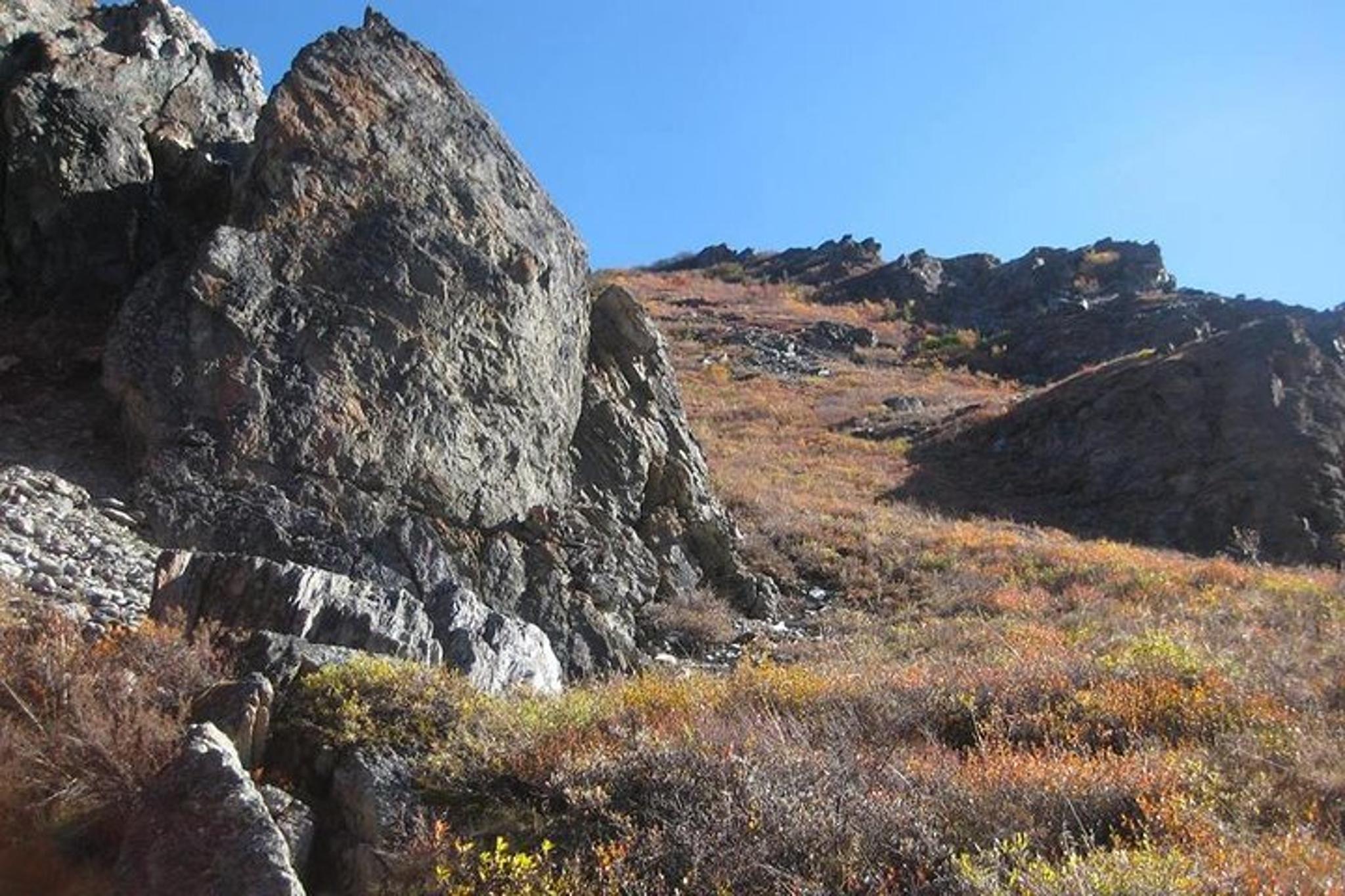 White Mountains Hiking Adventure