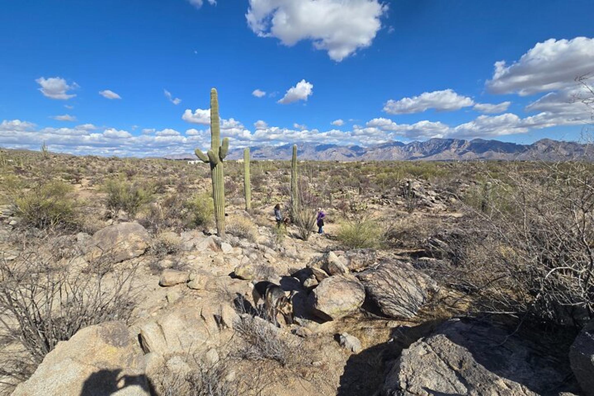 Dove Mountain Hiking Tour - Image 5