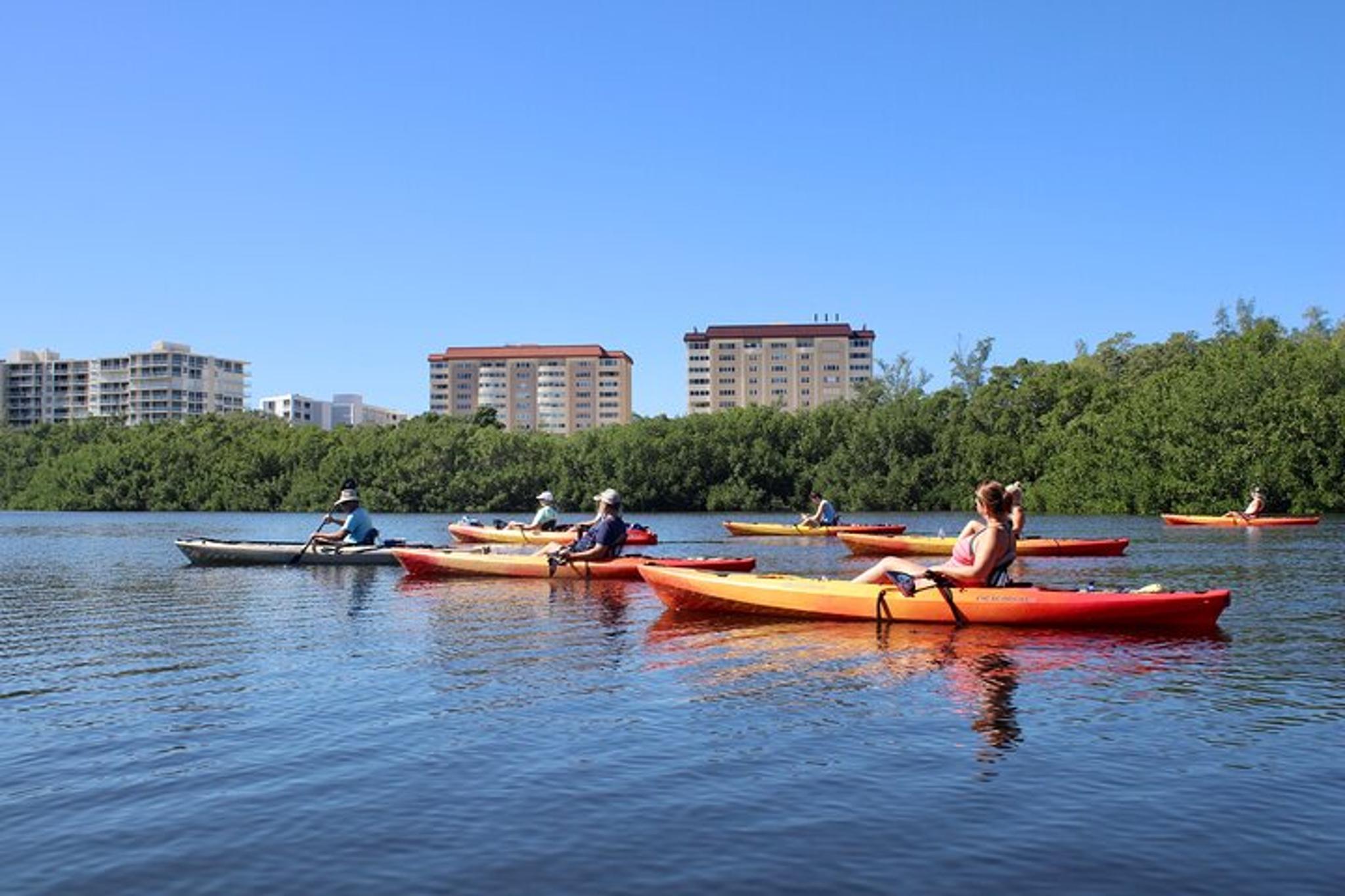 Sarasota Kayak Rentals and Wildlife Watch - Image 4