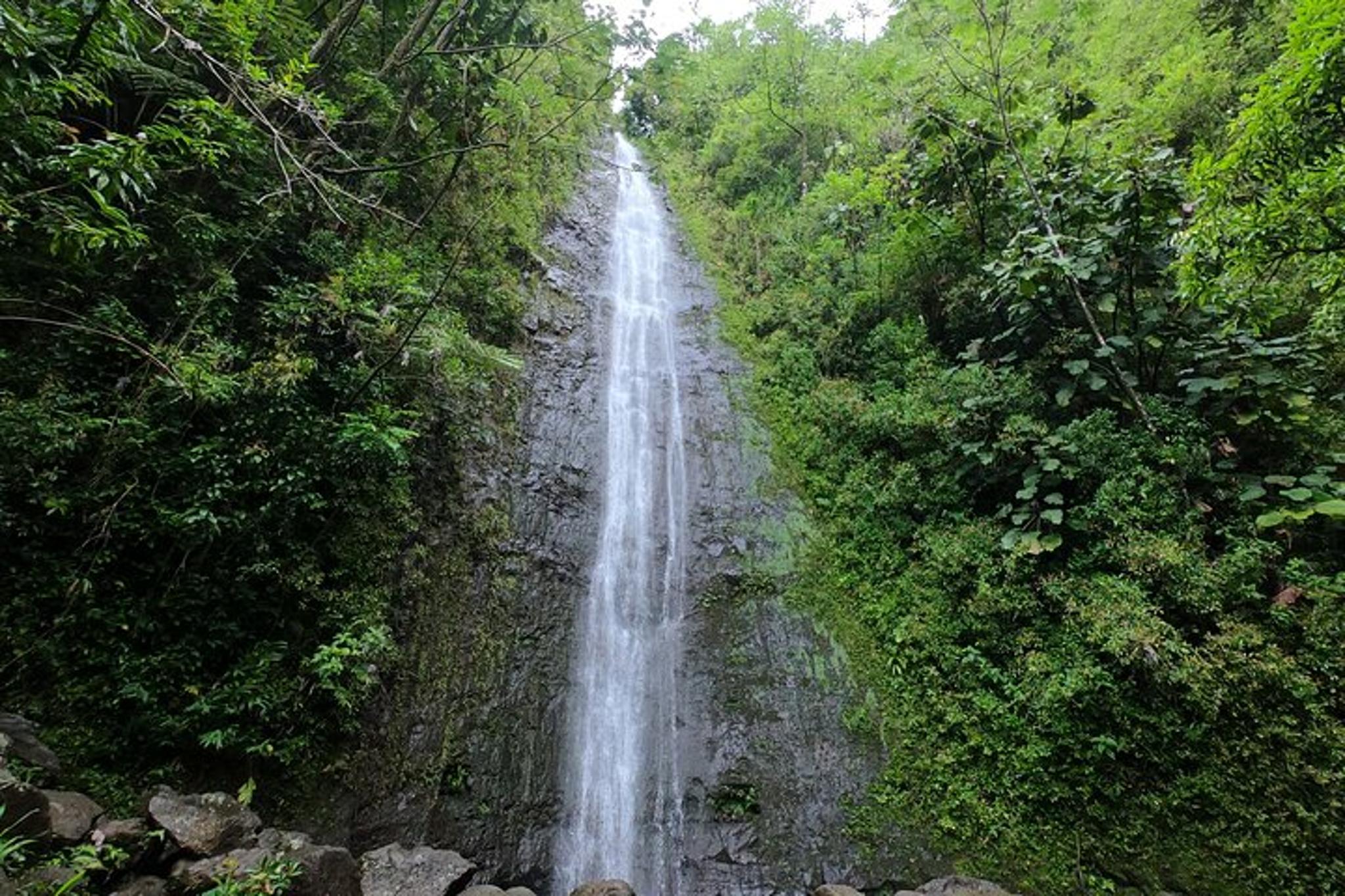 Honolulu Waterfall Hike and Downhill Bike Tour
